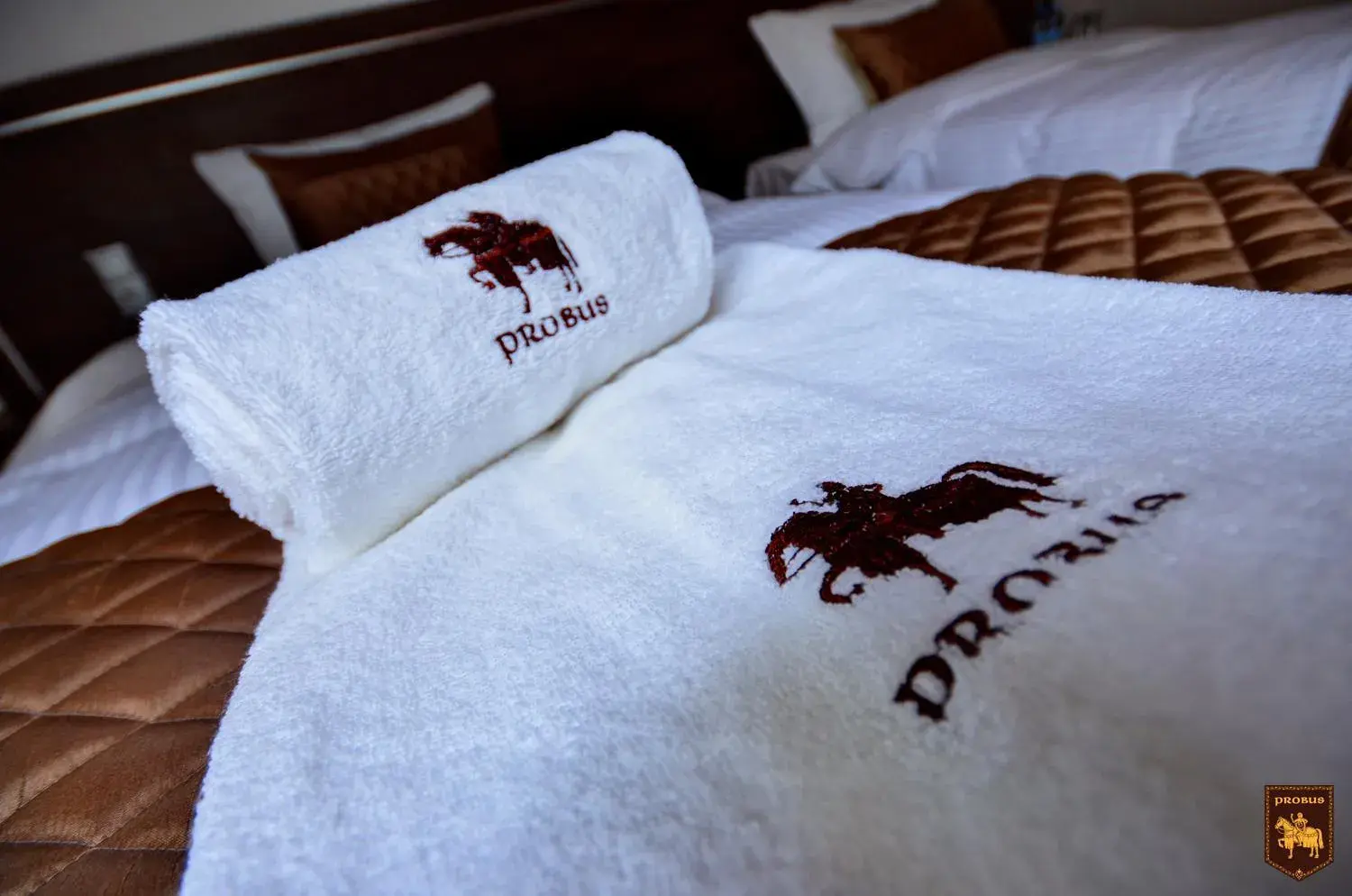 Twin Room with Bathroom - single occupancy in CTKiR Browar Probus Twin Room with Bathroom - single occupancy in CTKiR Browar Probus