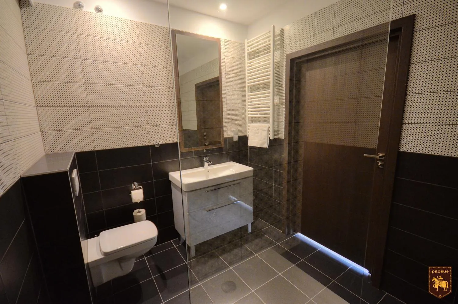 Shower in CTKiR Browar Probus