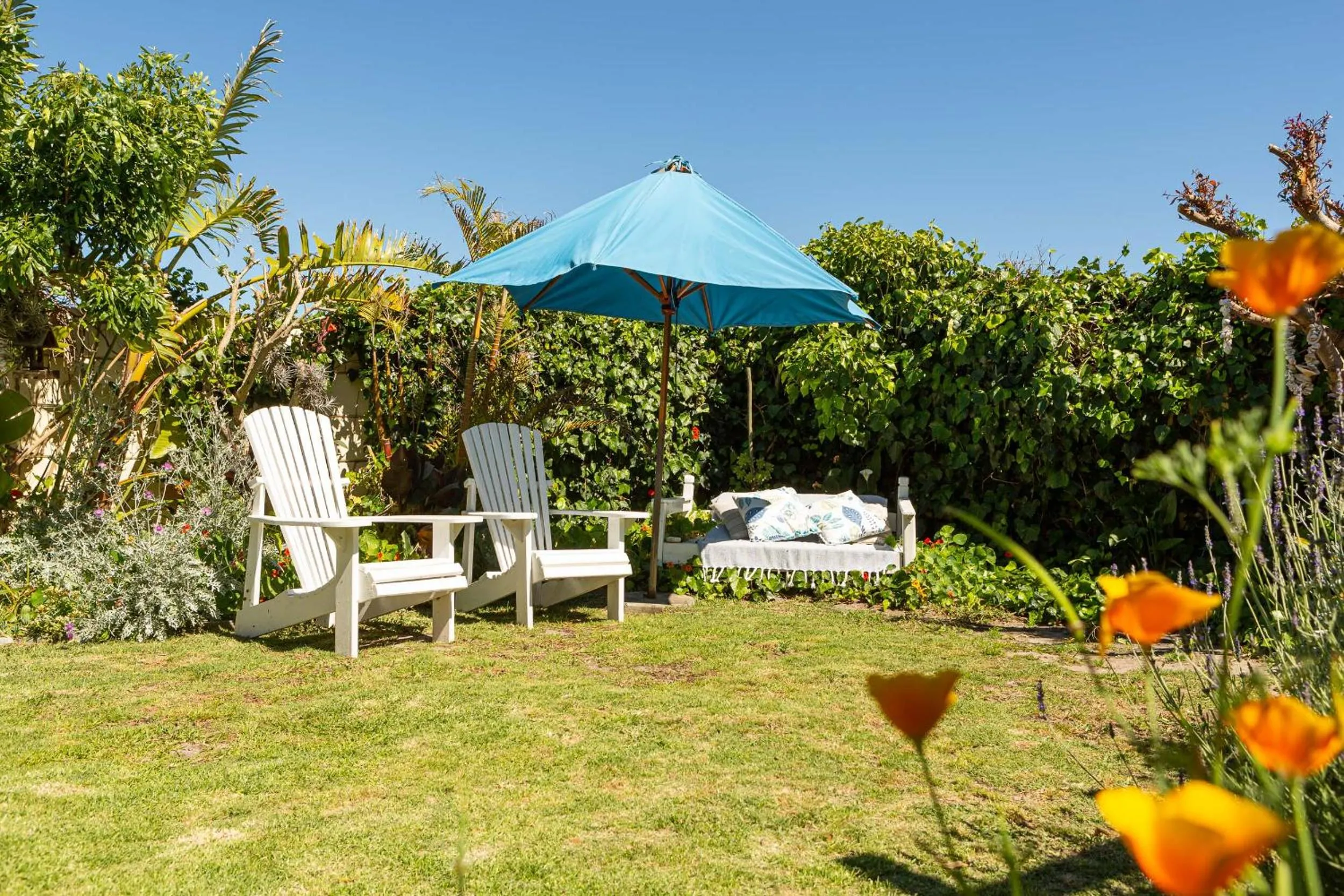 Spring in Guinea Fowl House