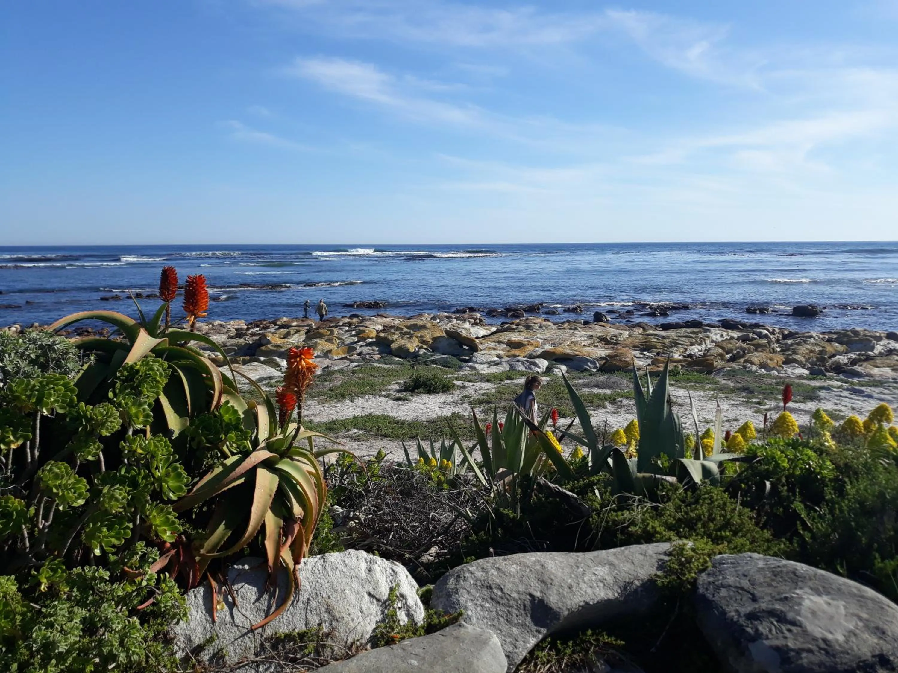 Sea view in Guinea Fowl House