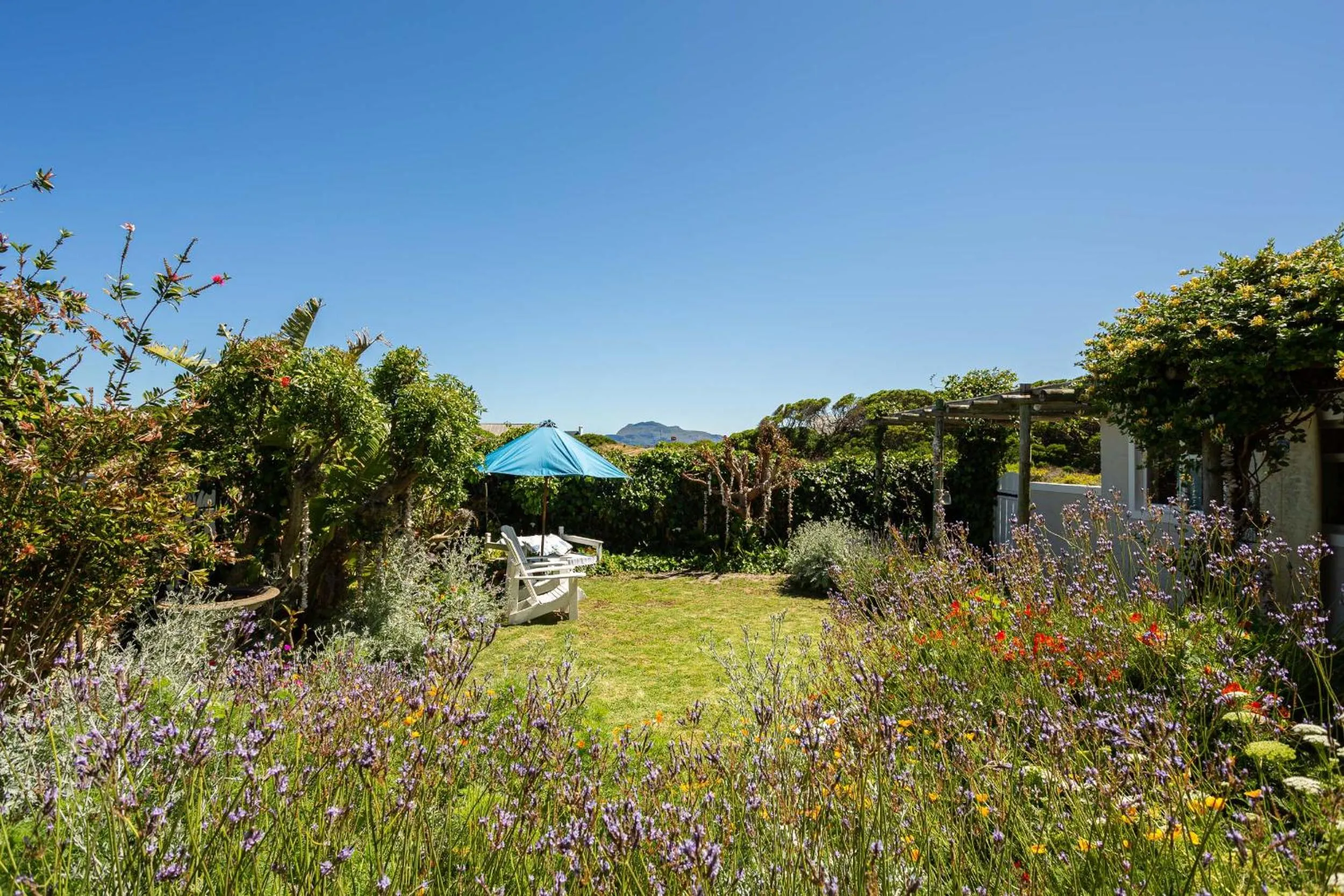 Garden in Guinea Fowl House
