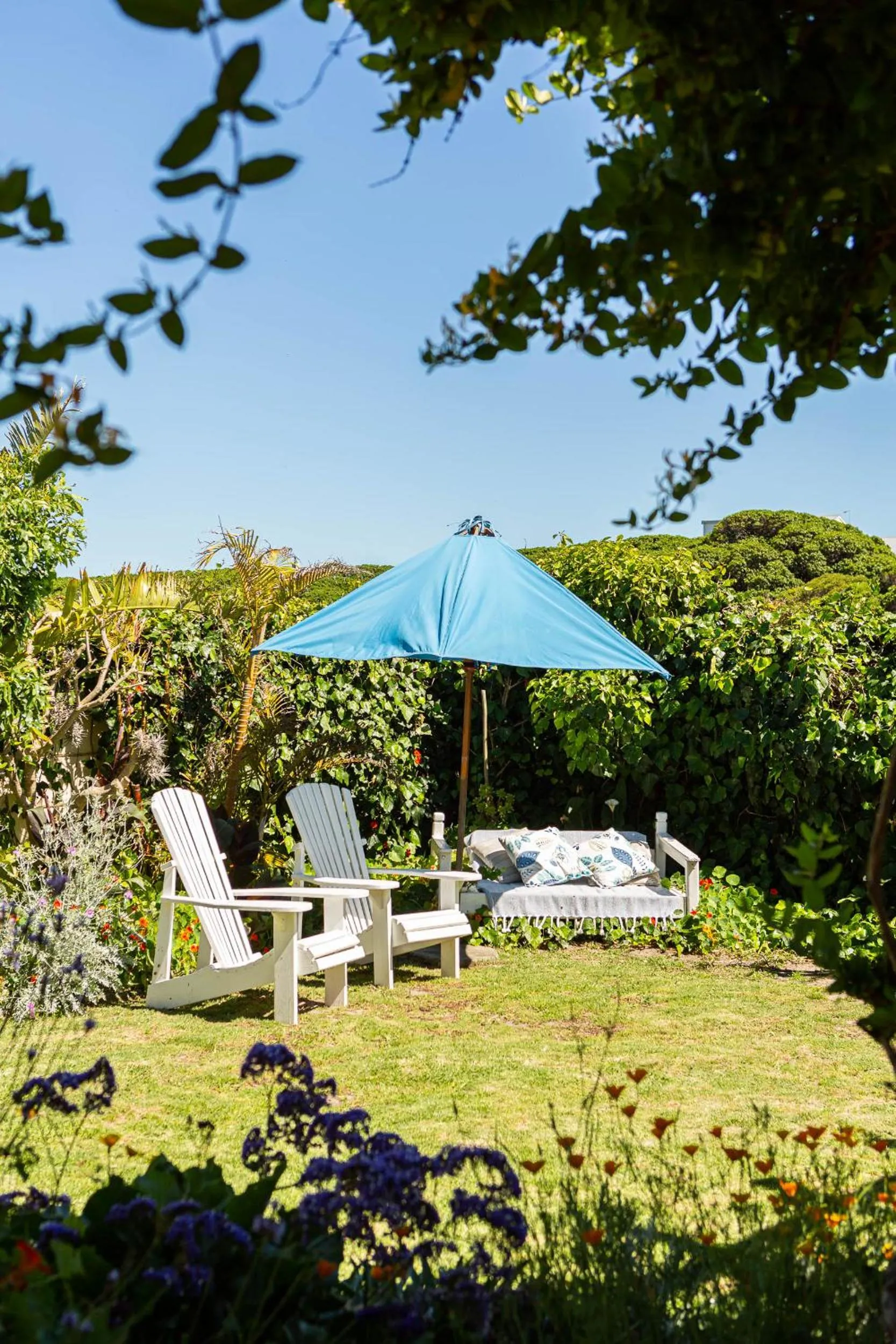 Garden in Guinea Fowl House