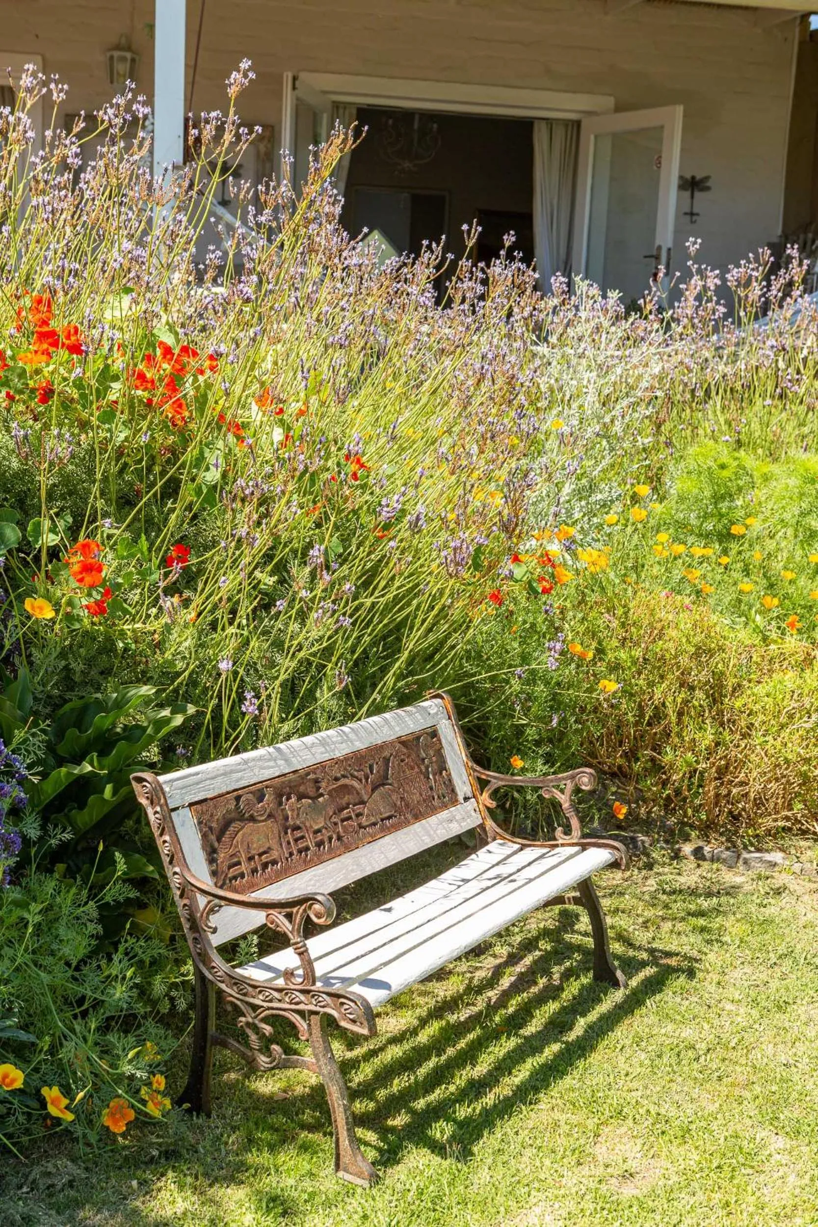 Garden in Guinea Fowl House