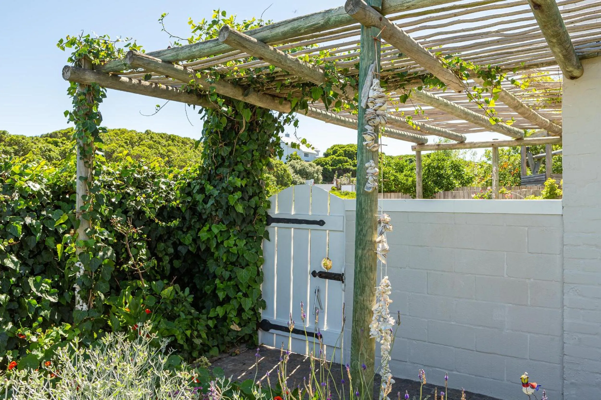 Garden in Guinea Fowl House