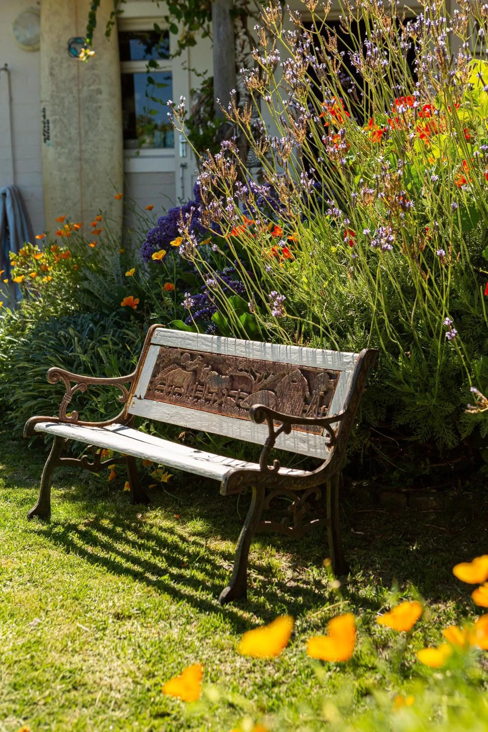 Garden in Guinea Fowl House