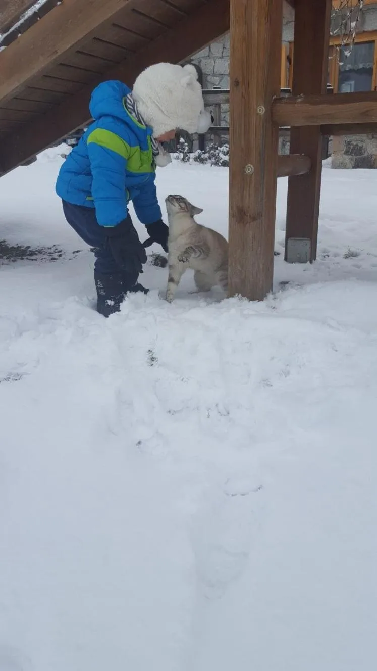 Agriturismo Fattoria Dalcastagnè