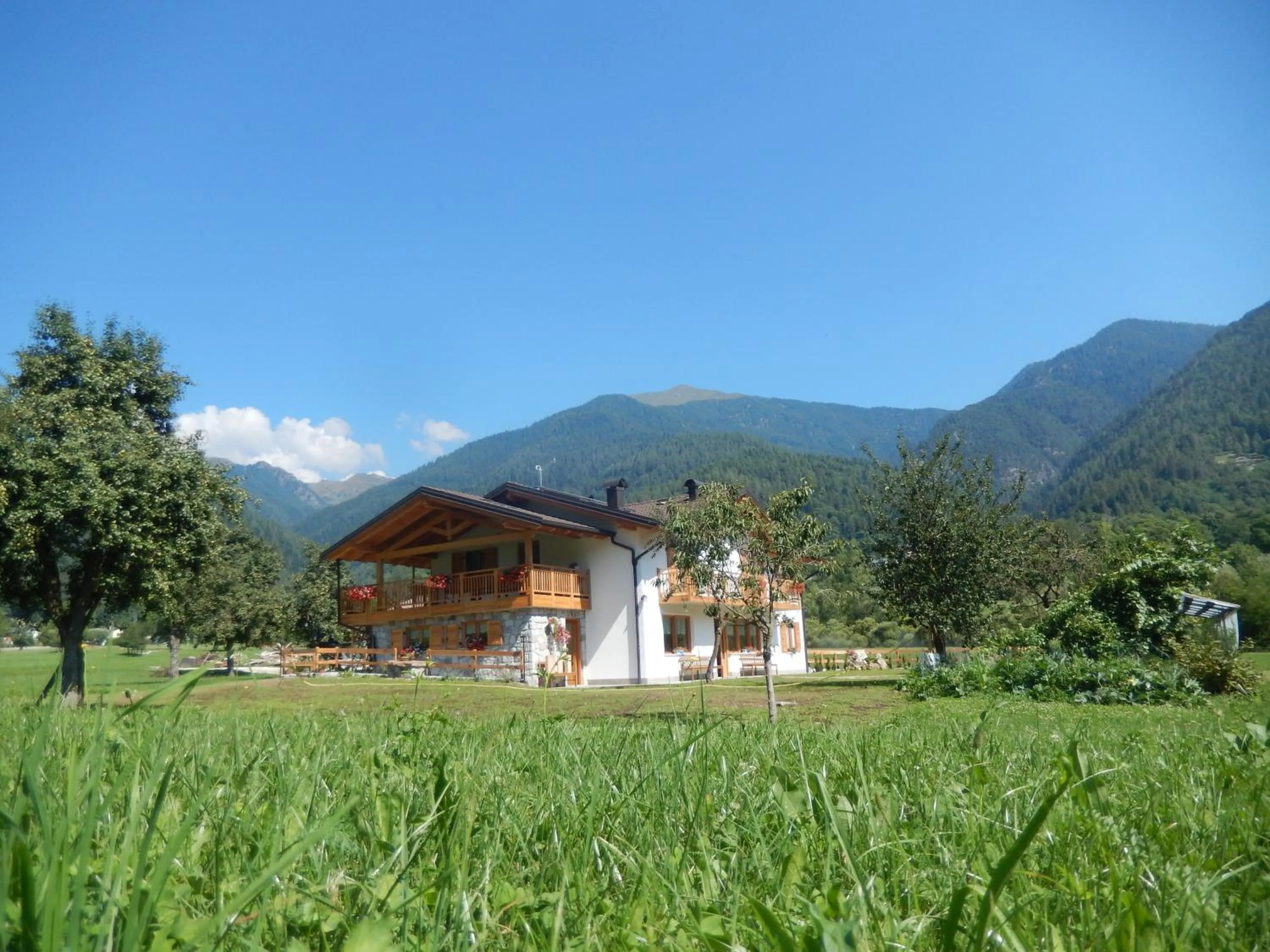 Property building in Agriturismo Fattoria Dalcastagnè