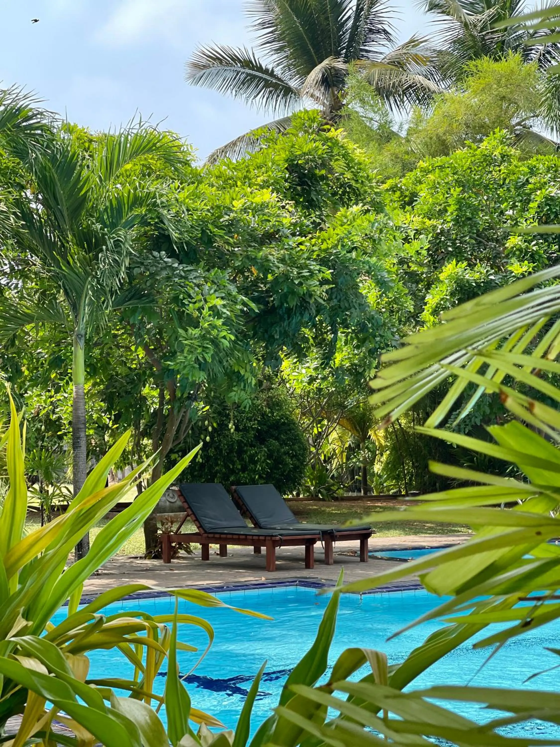 Olanro Hotel Negombo