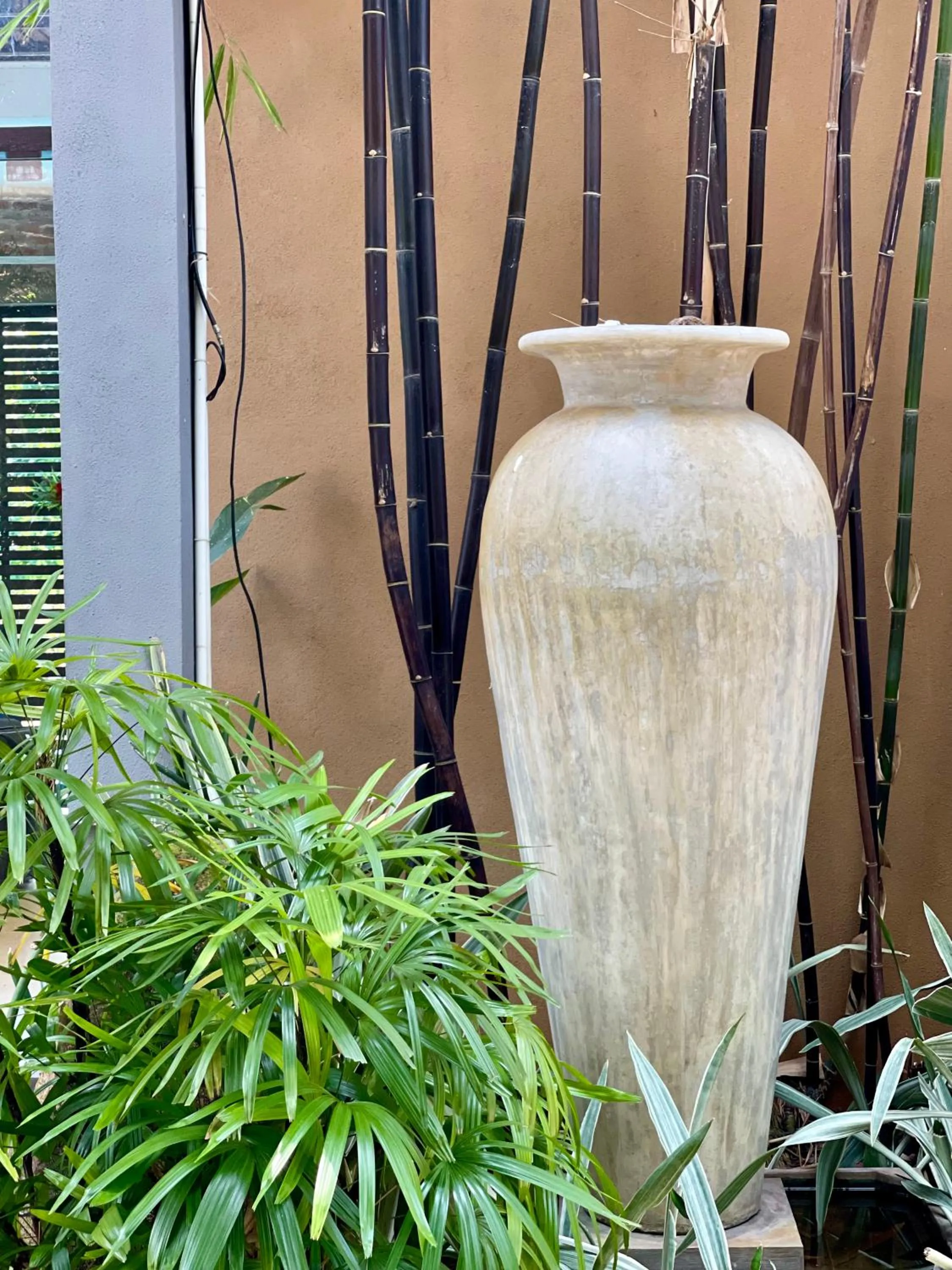 Garden in Olanro Hotel Negombo