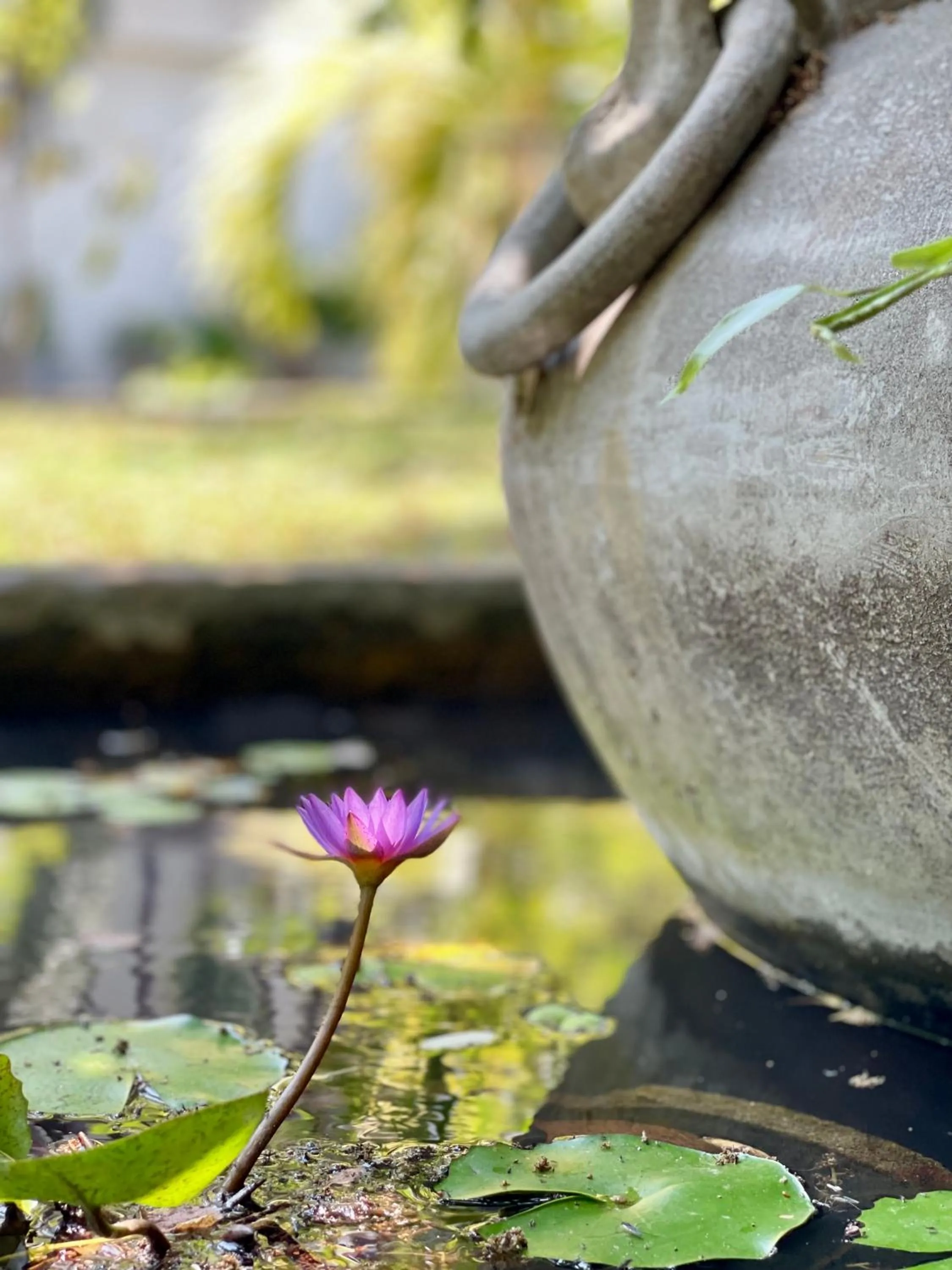 Day in Olanro Hotel Negombo