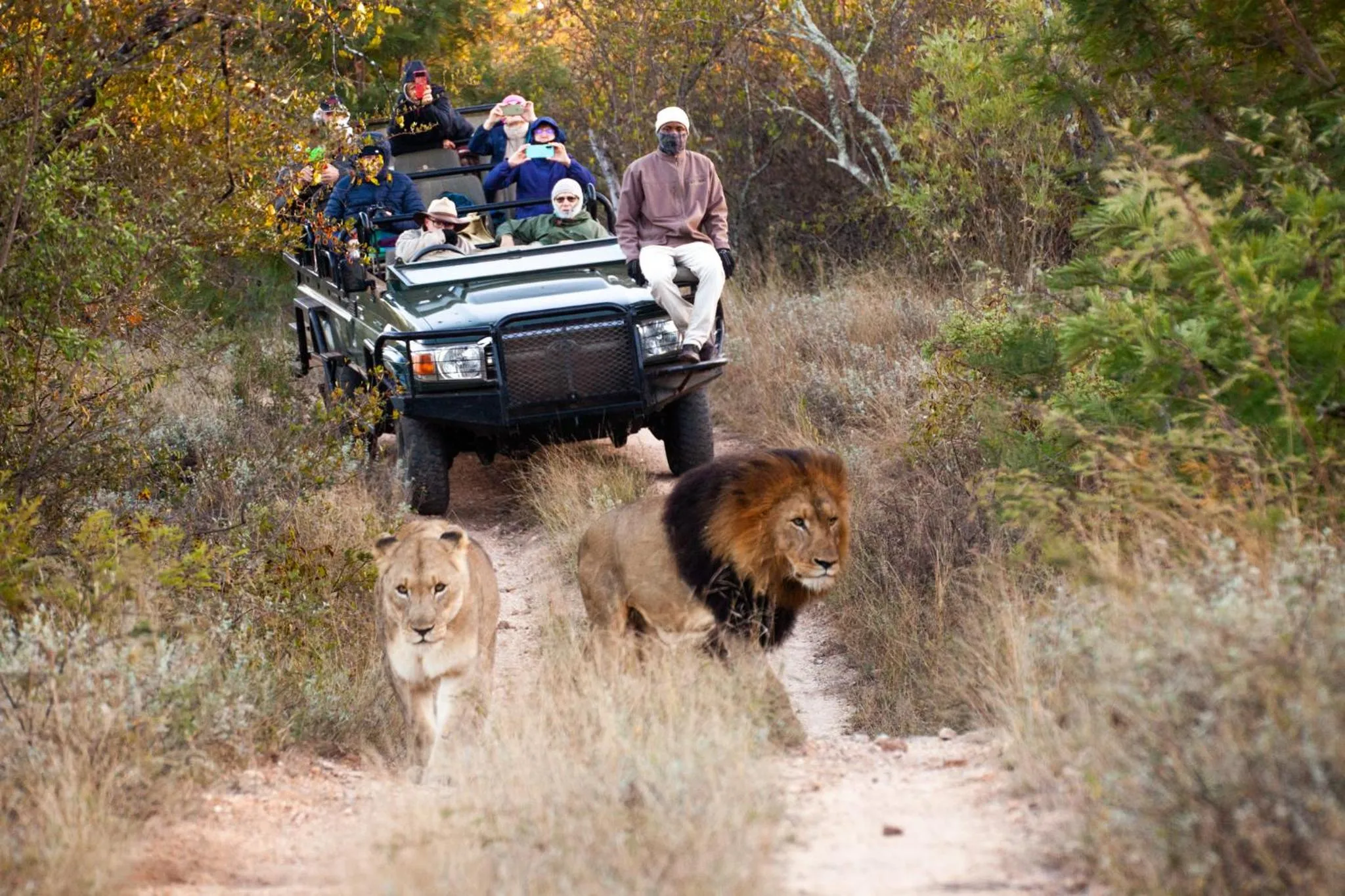 Activities in Karongwe - Kuname Safari Lodge