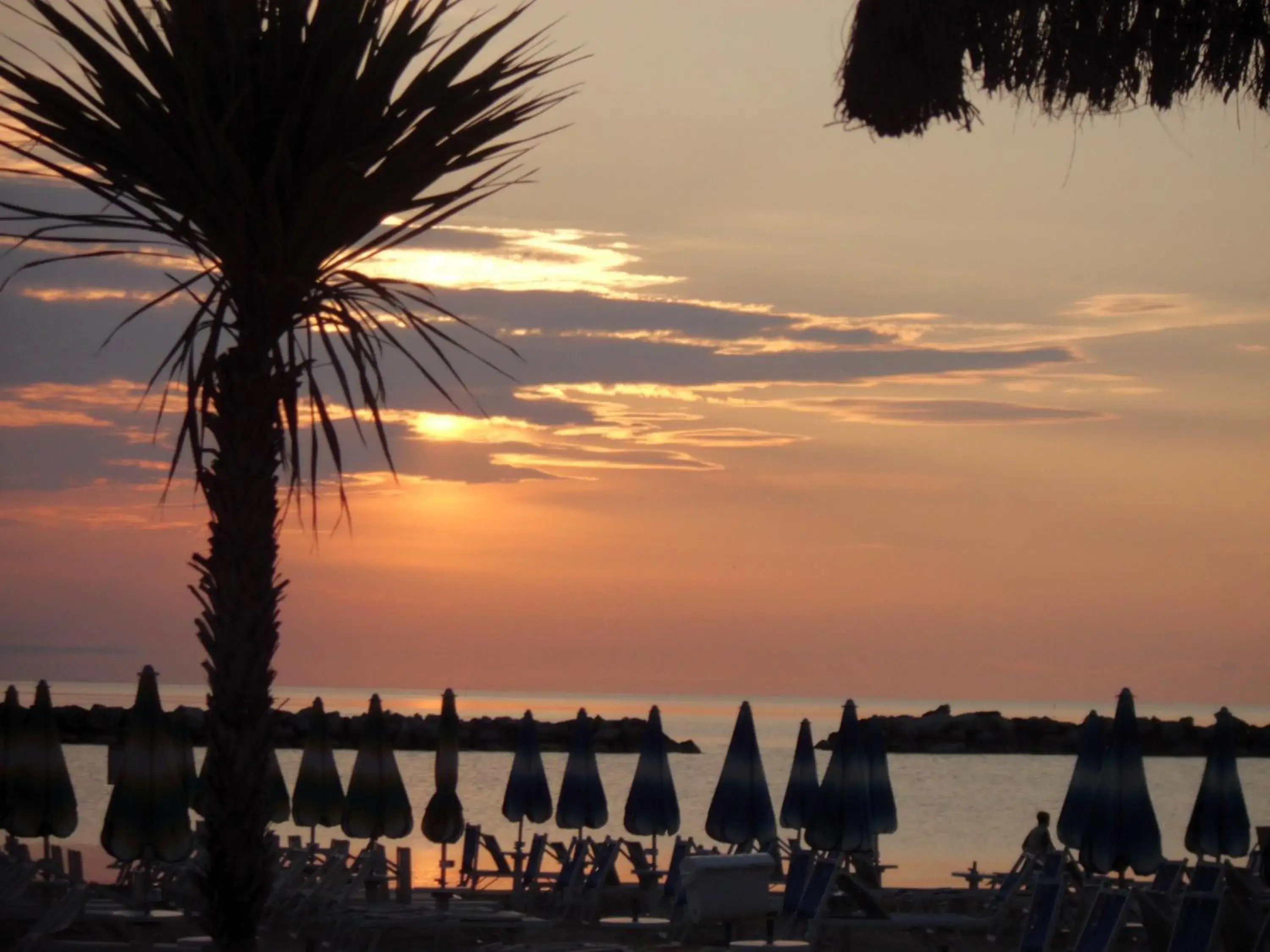 Beach, Sunrise/Sunset in Hotel Mediterraneo Club Benessere