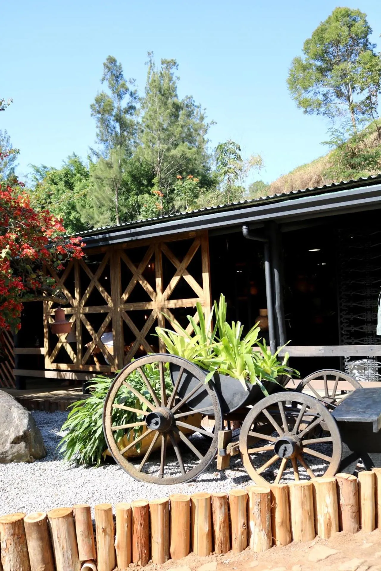 Garden view in Hotel Fazenda Vilarejo All Inclusive
