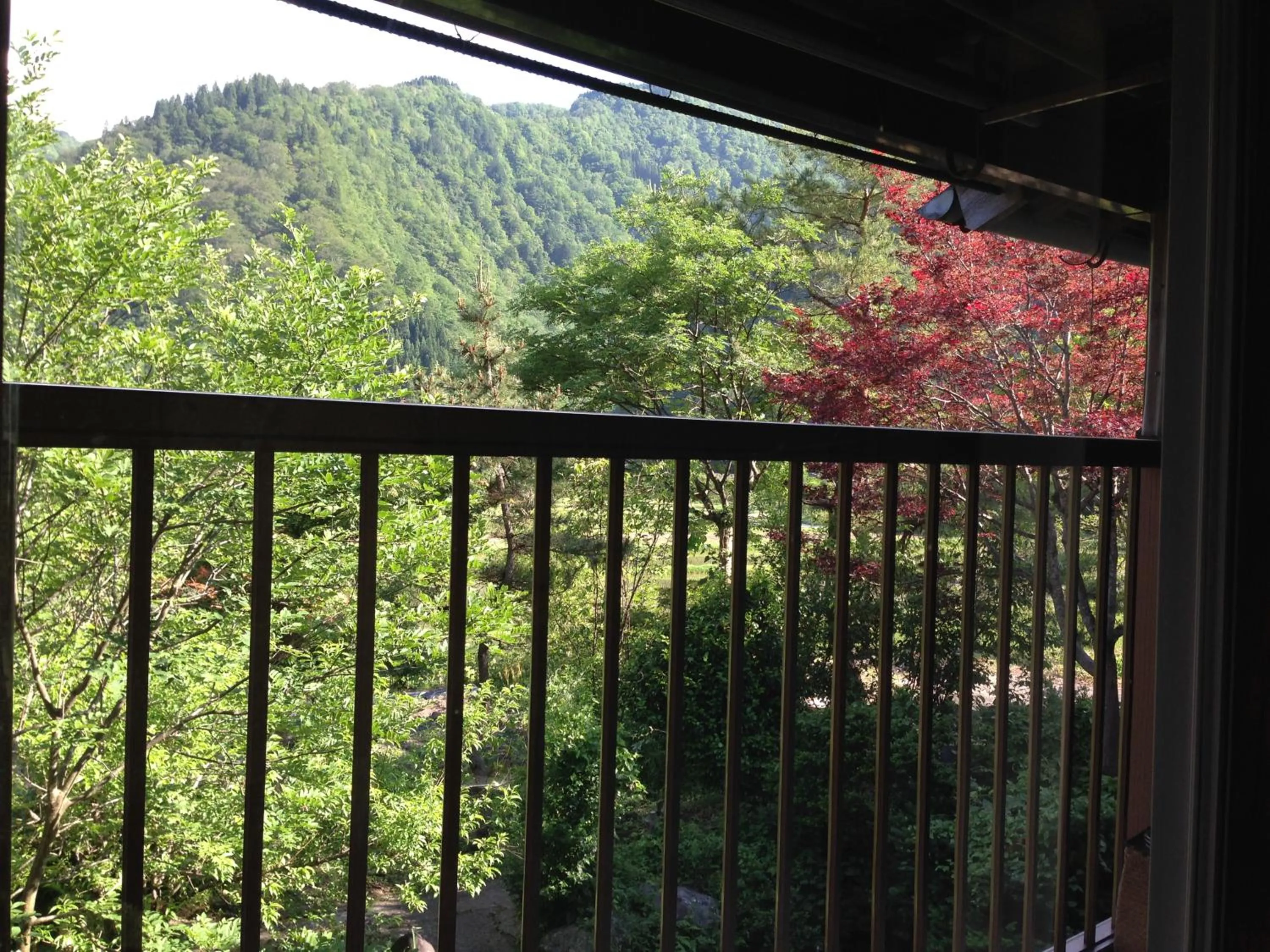Garden view in Guest House YAMASHITA-YA