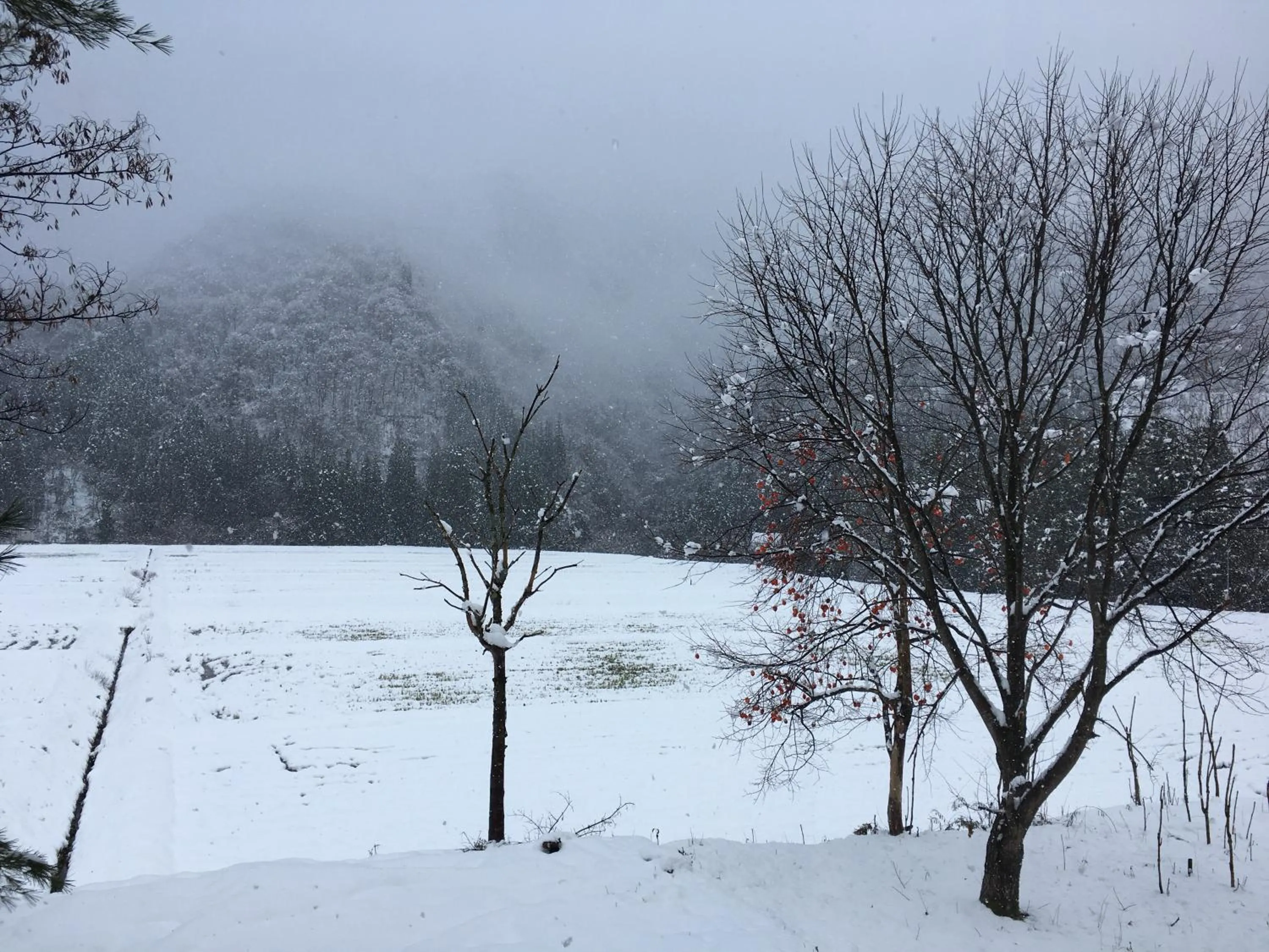 Winter in Guest House YAMASHITA-YA