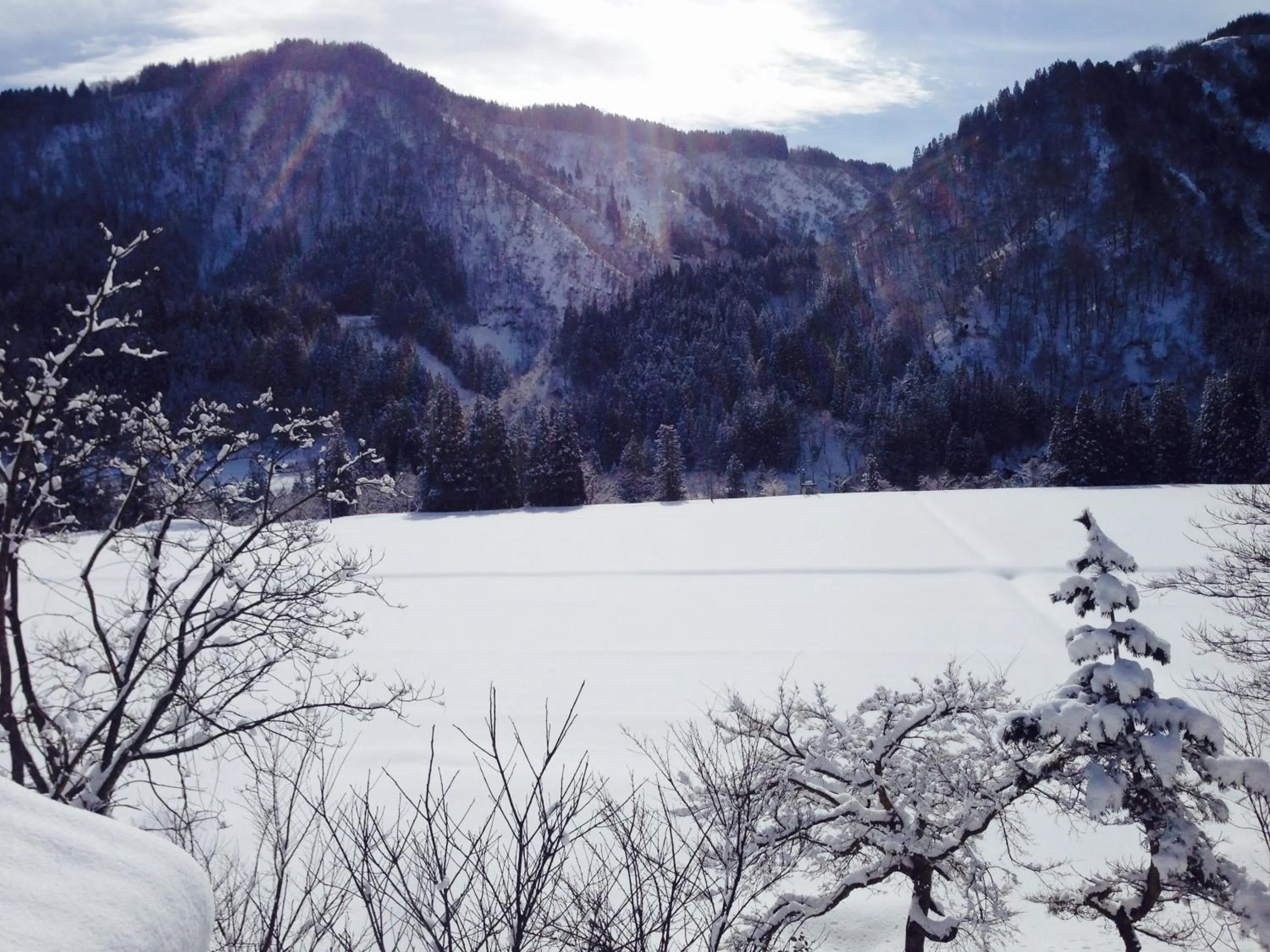 Natural landscape in Guest House YAMASHITA-YA