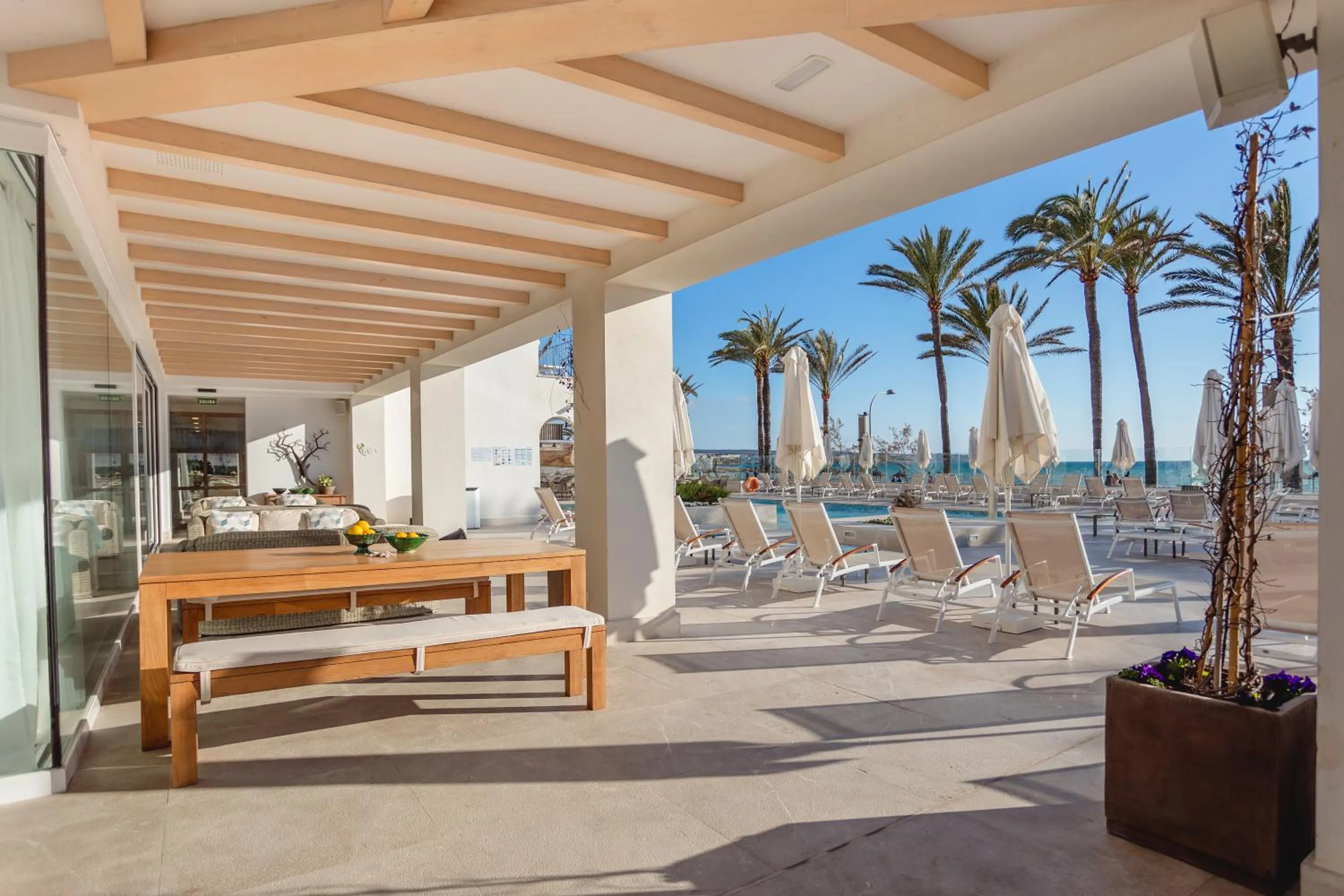 Patio in Myseahouse Flamingo - Adults Only 4* Sup