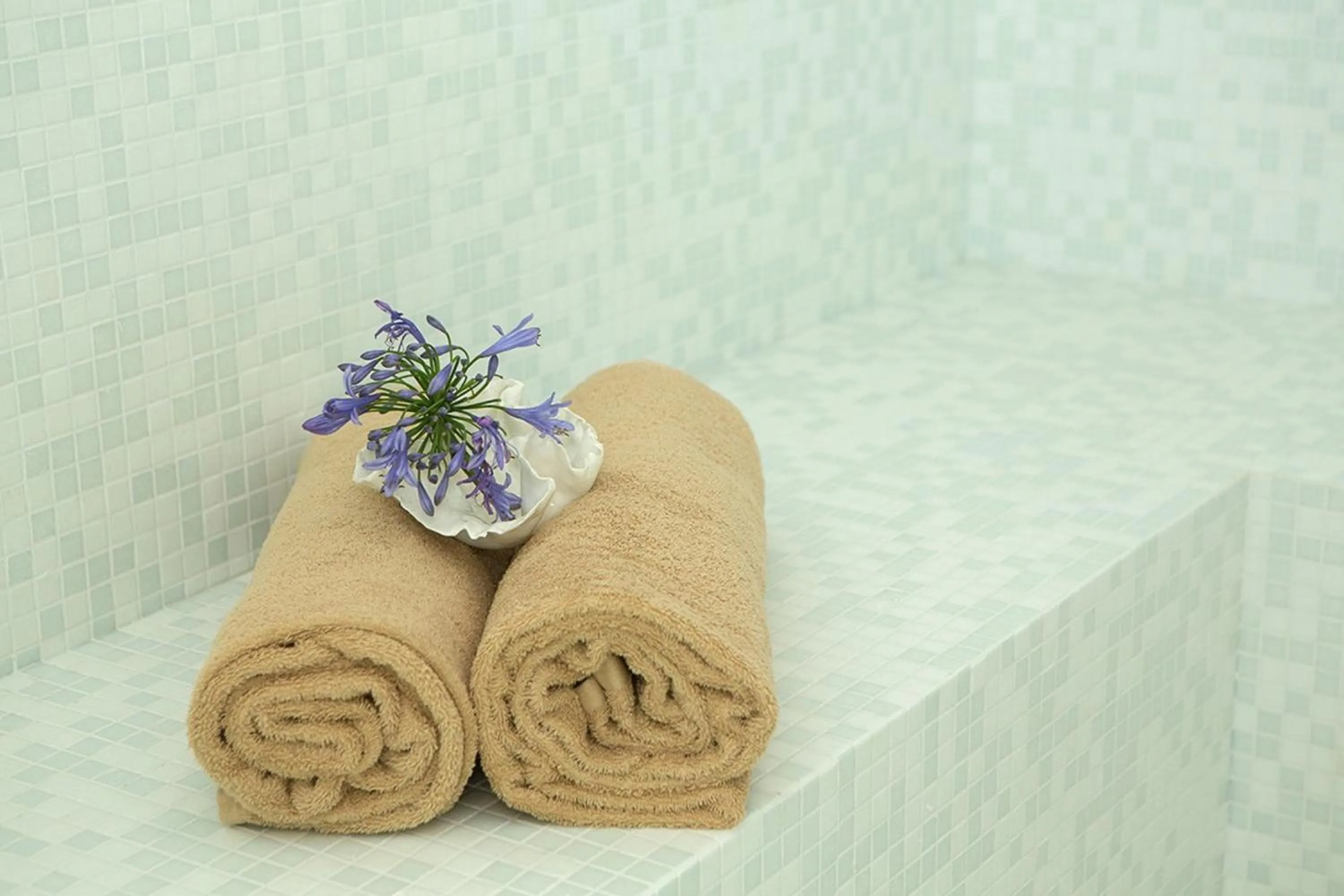 Steam room in Myseahouse Flamingo - Adults Only 4* Sup