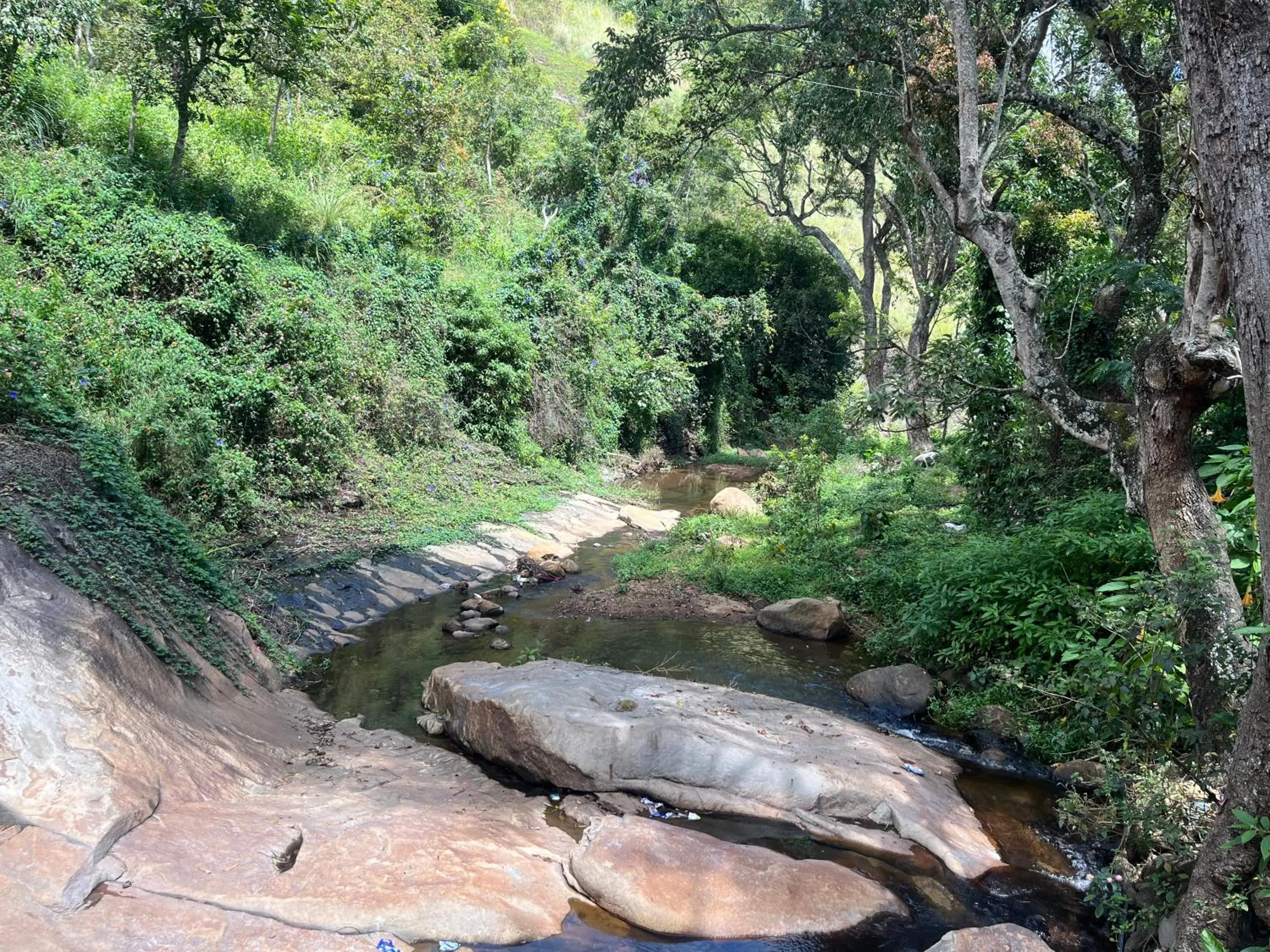 Natural landscape in Zacs Valley Resort & Wellness Retreat Kodaikanal