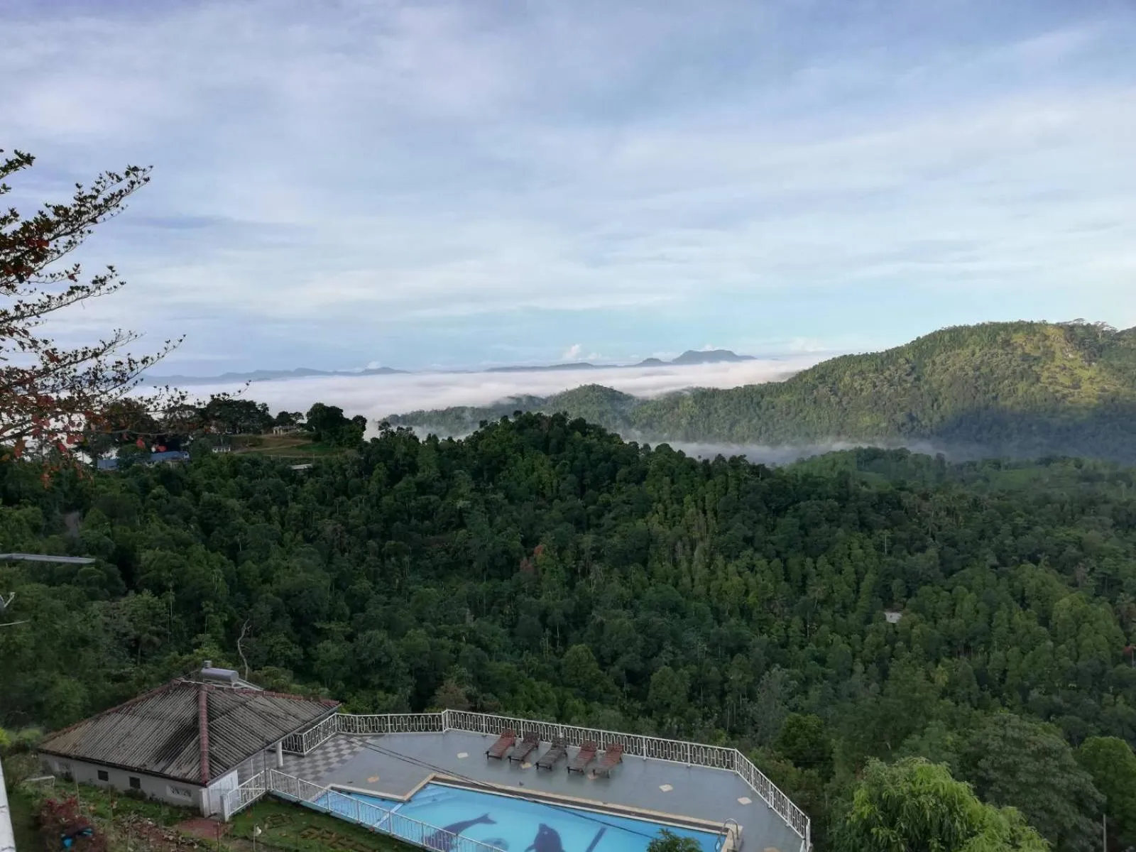 Natural landscape in Green View Holiday Resort