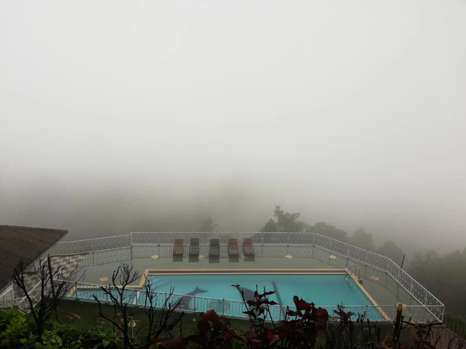 Swimming pool in Green View Holiday Resort