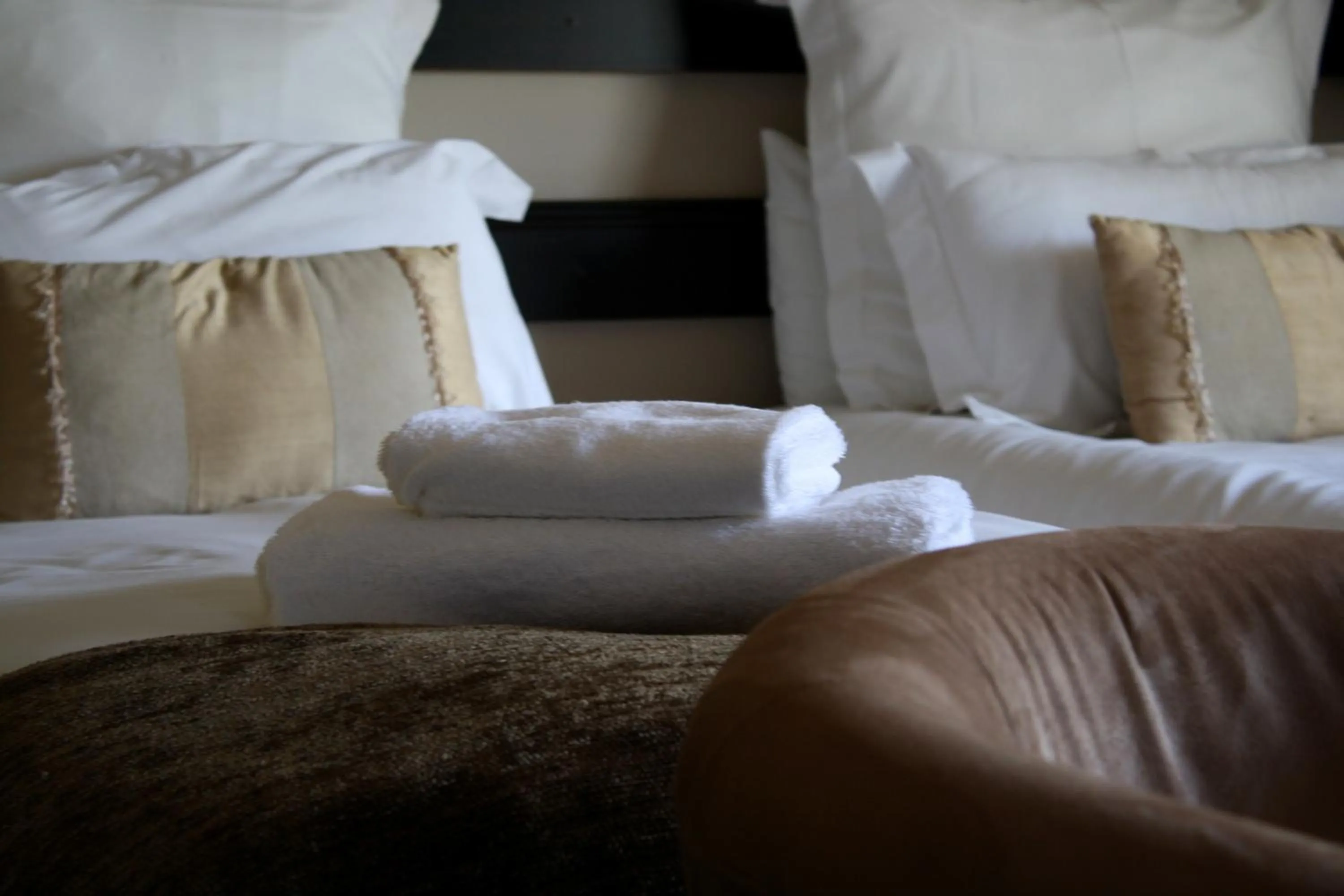 Bed in Lemon & Lime Guesthouse