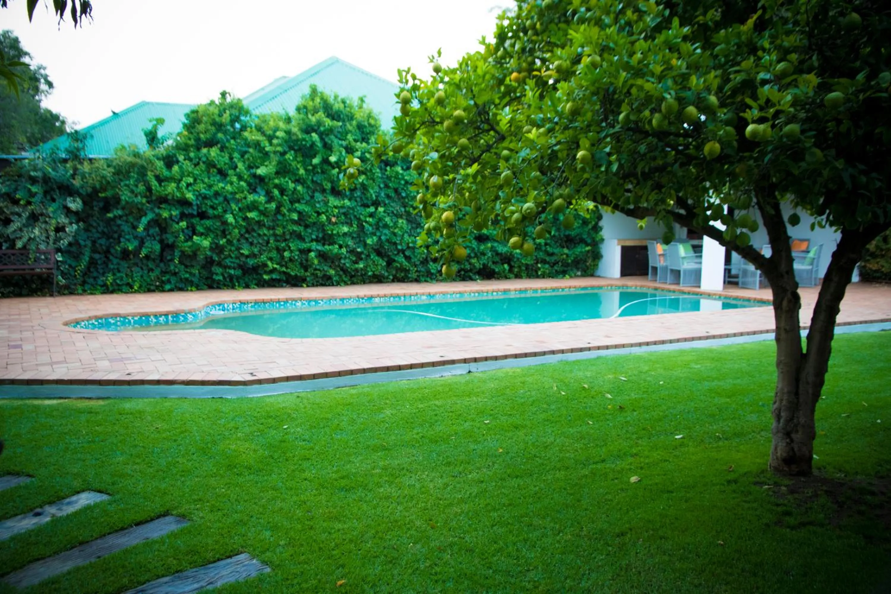 Swimming pool in Lemon & Lime Guesthouse