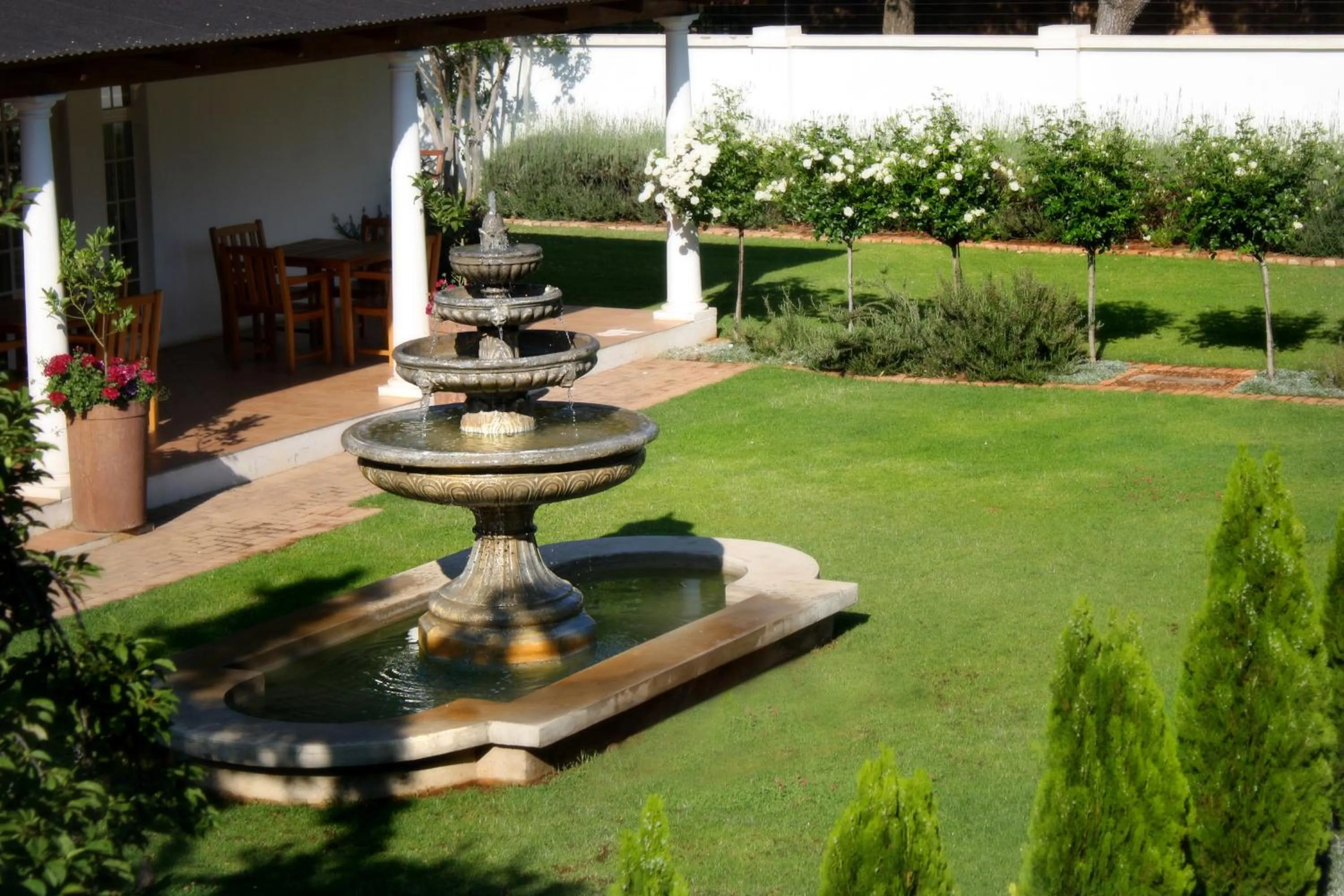 Garden view in Lemon & Lime Guesthouse