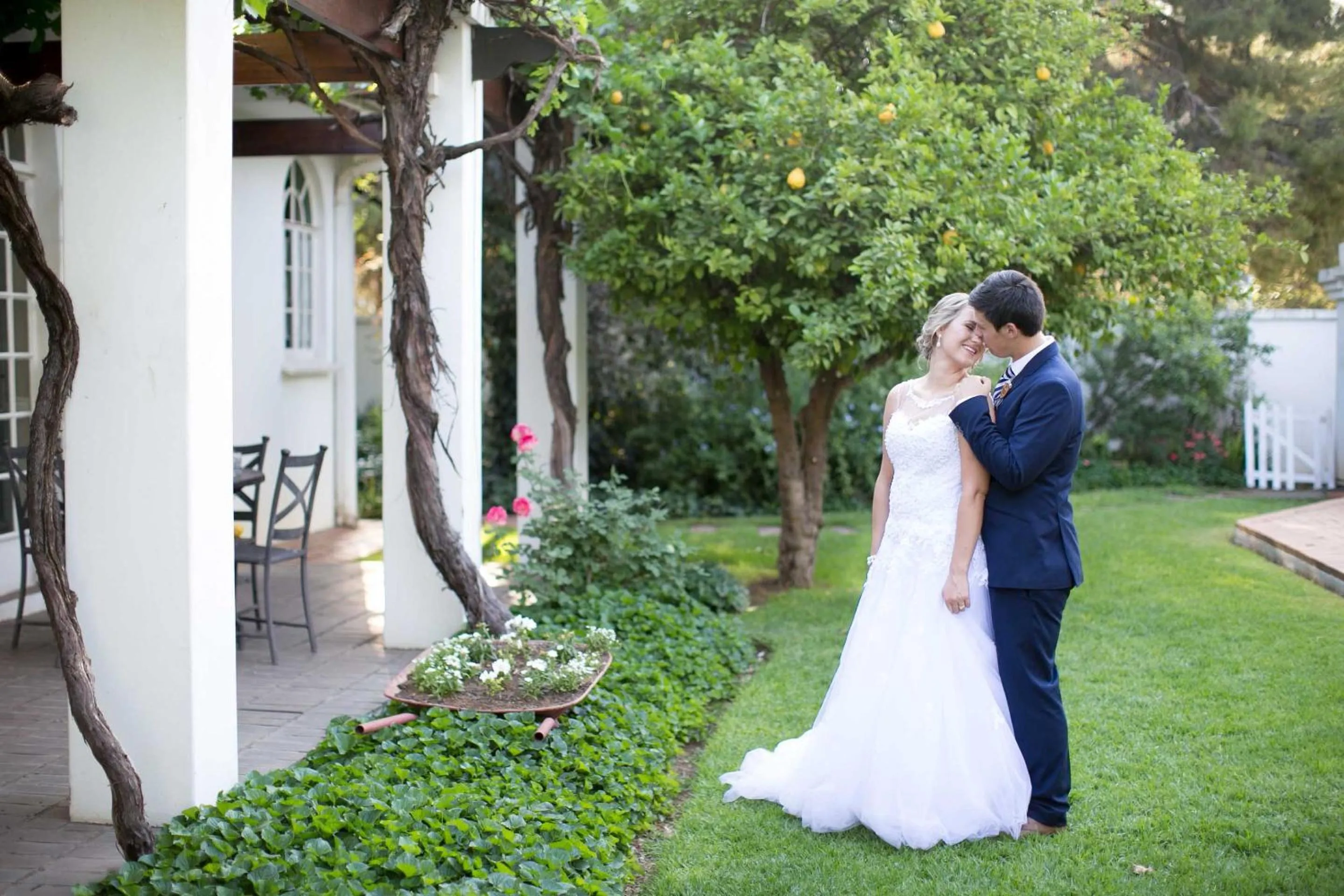 Garden in Lemon & Lime Guesthouse