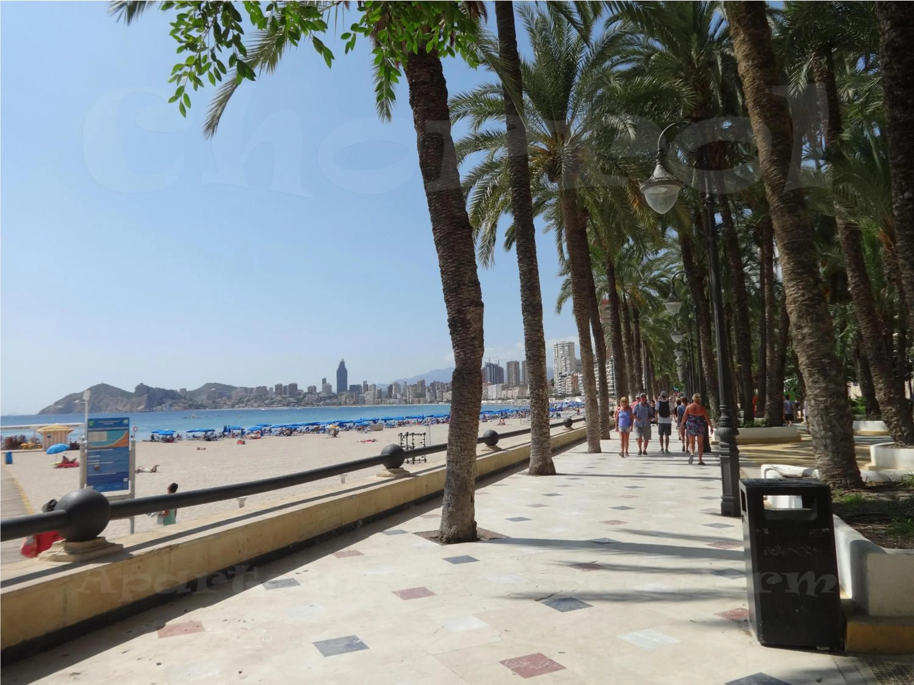 Neighbourhood in Apartamentos Benidorm Chorrol