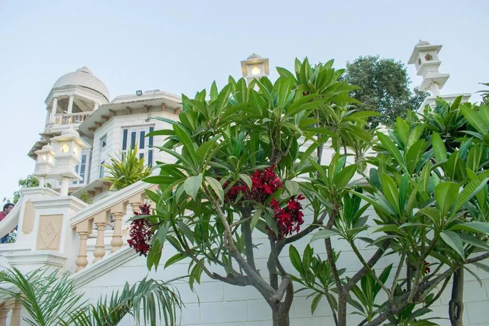 Village Live In Resort, Chail