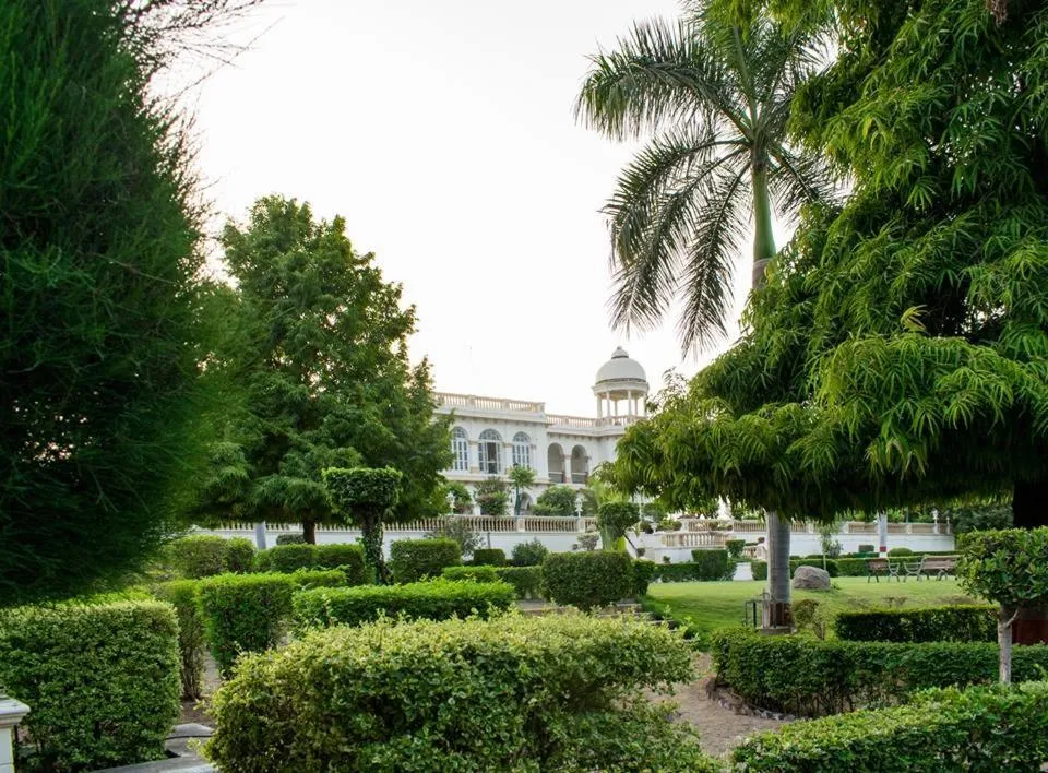 Village Live In Resort, Chail