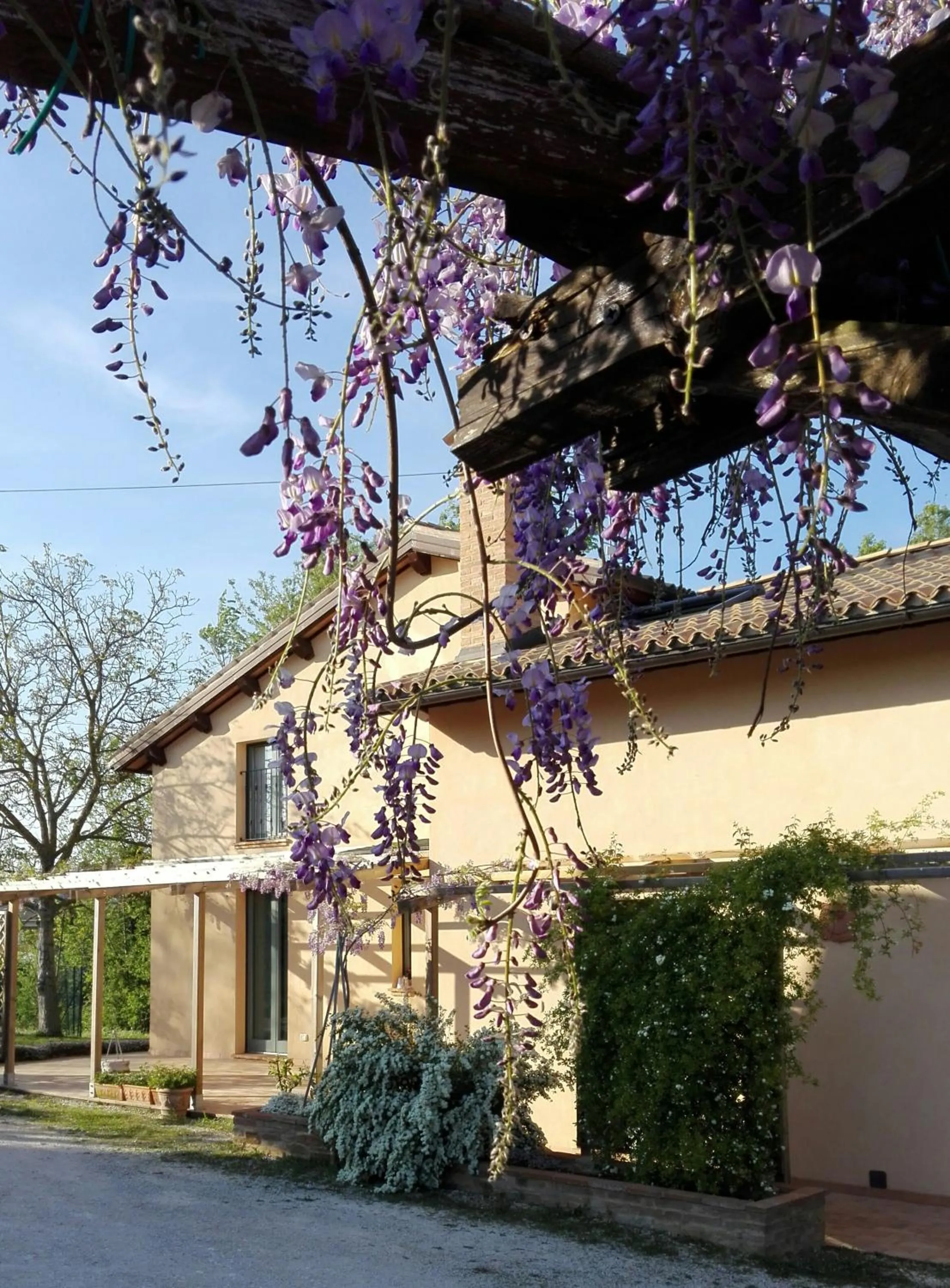 Facade/entrance in B&B Antegiano