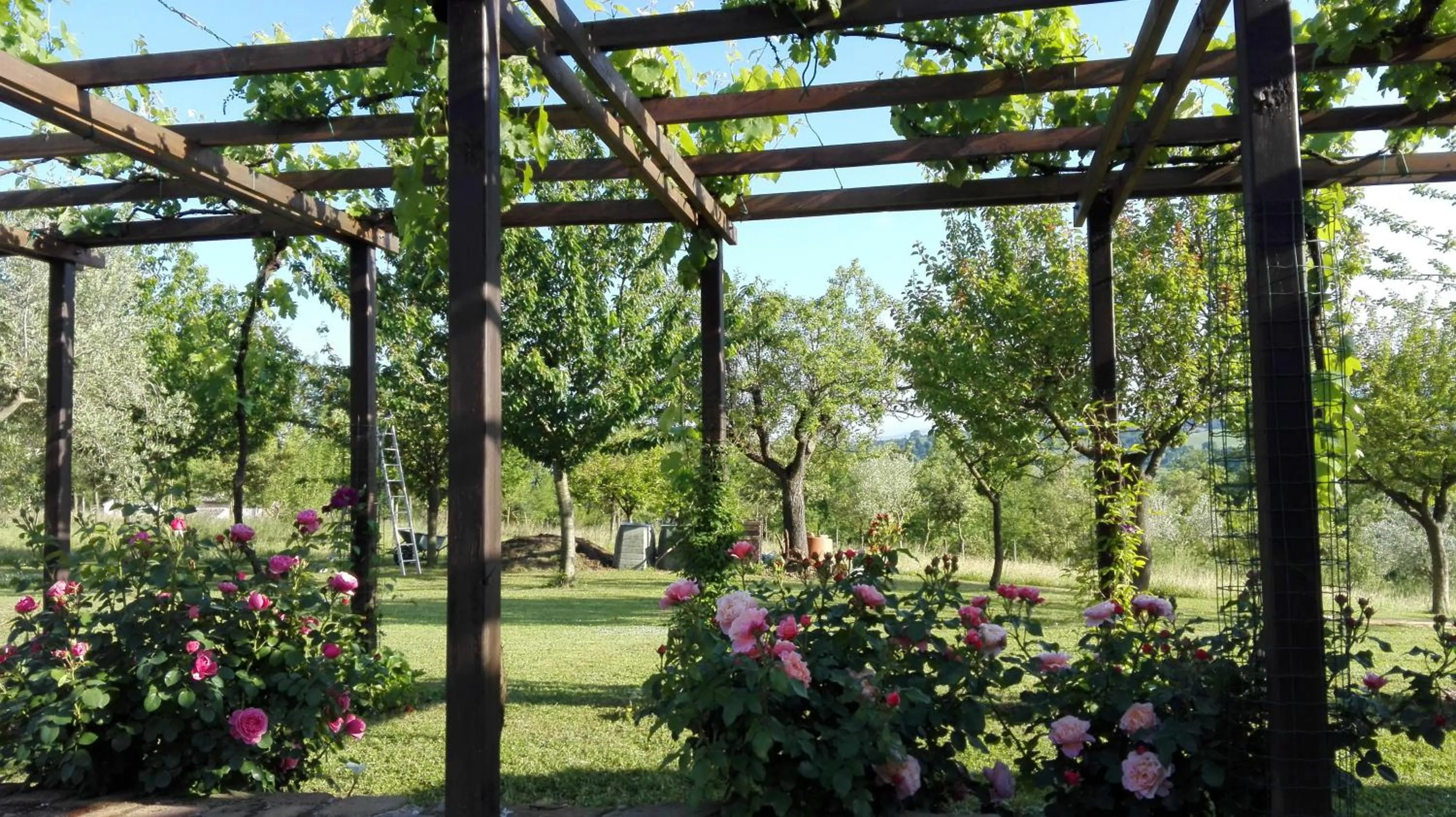 Garden in B&B Antegiano