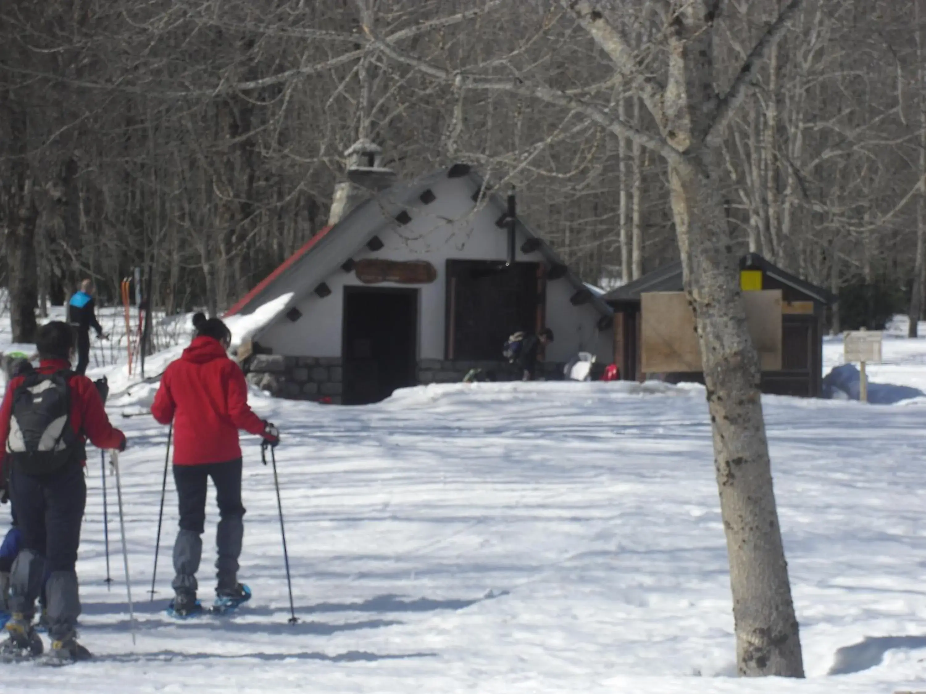 View (from property/room) in Parador de Bielsa View (from property/room) in Parador de Bielsa