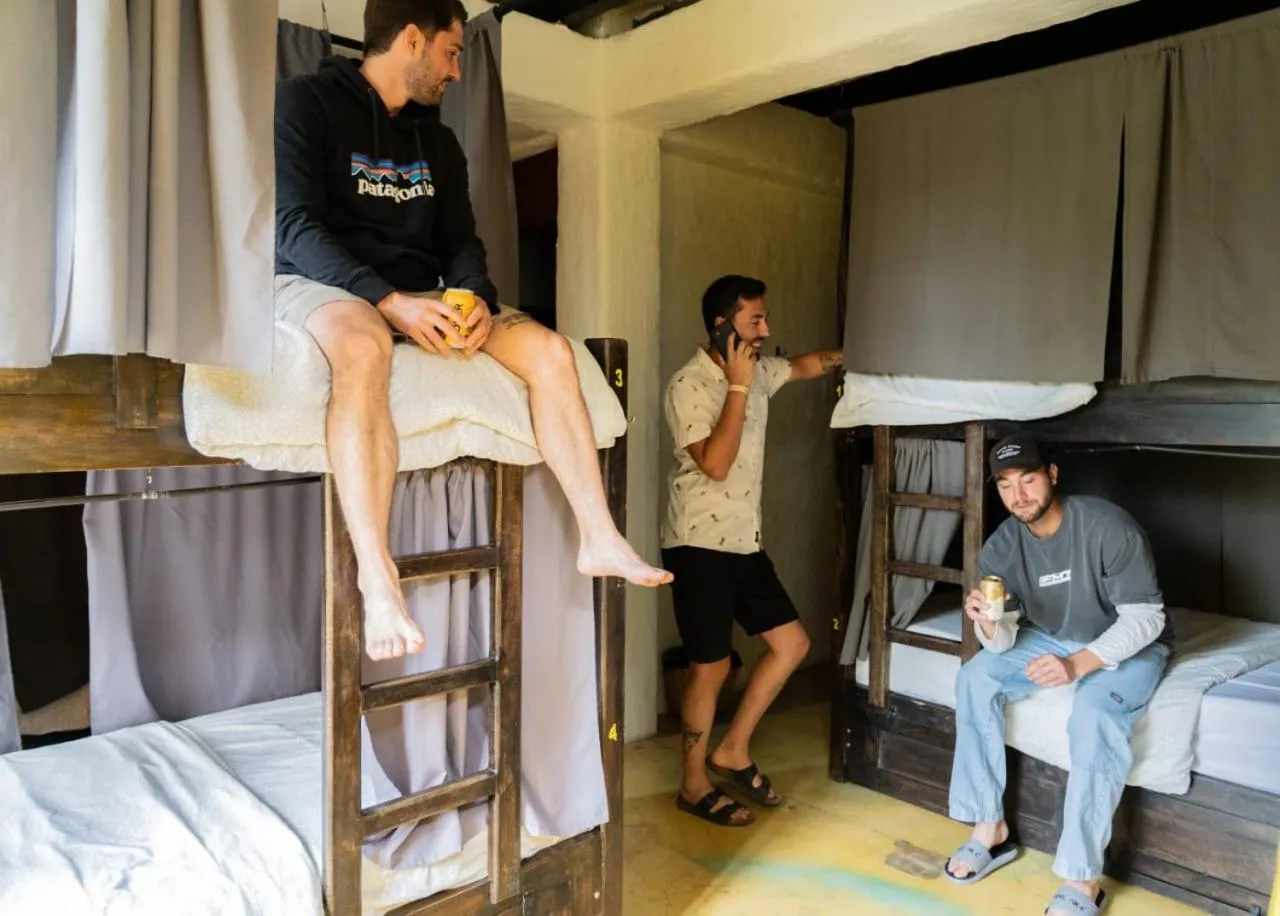 group of guests, Bed in Coffee Tree Boutique Hostel