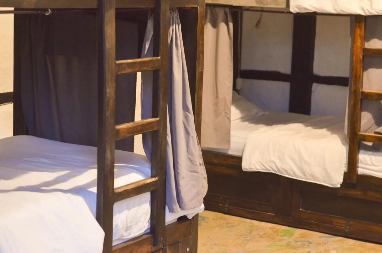 bunk bed, Bed in Coffee Tree Boutique Hostel
