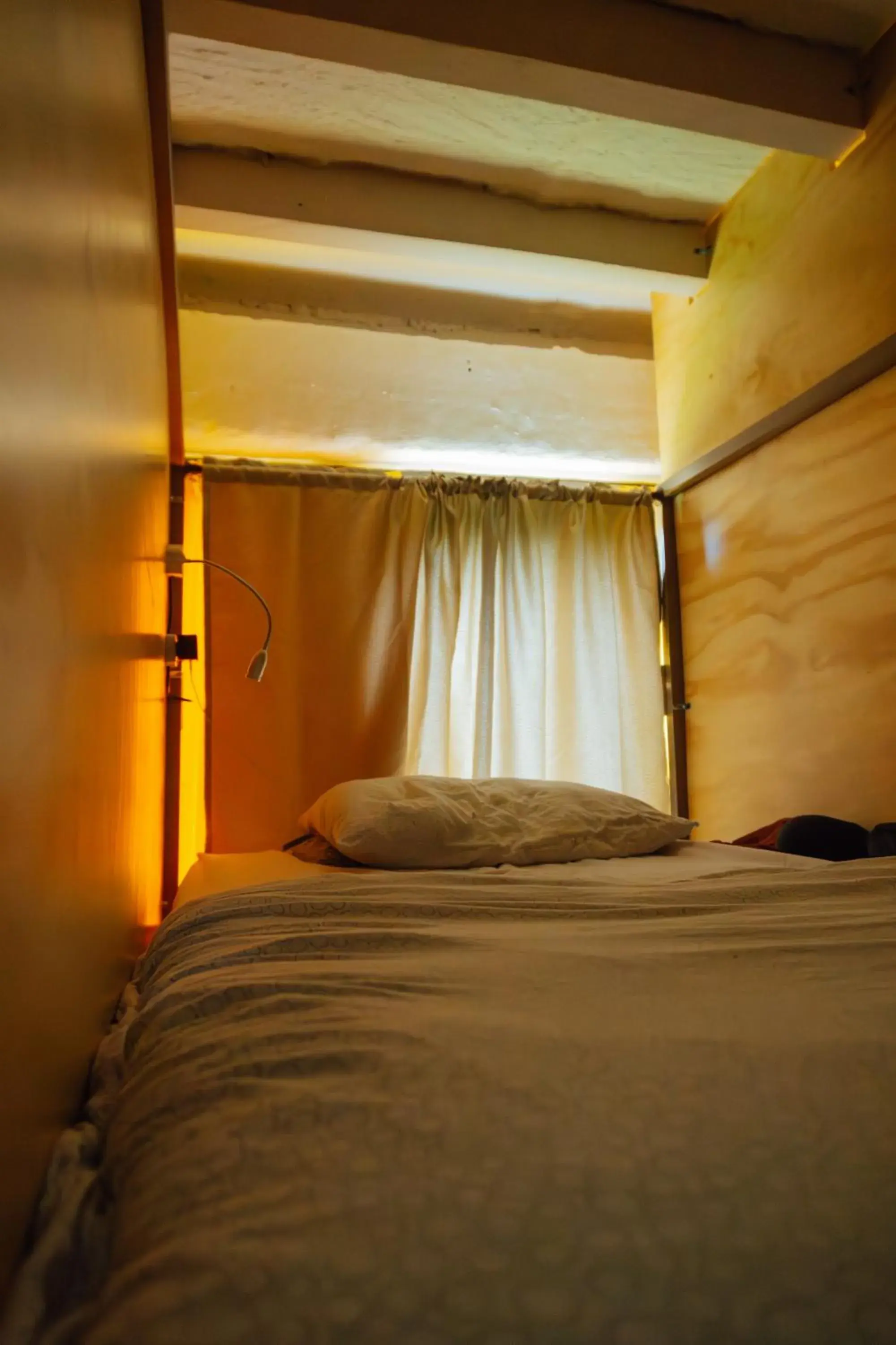 Bed in 6-Bed Female Dormitory Room in Coffee Tree Boutique Hostel Bed in 6-Bed Female Dormitory Room in Coffee Tree Boutique Hostel