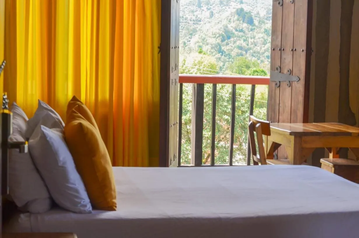 Mountain view, Bed in Coffee Tree Boutique Hostel