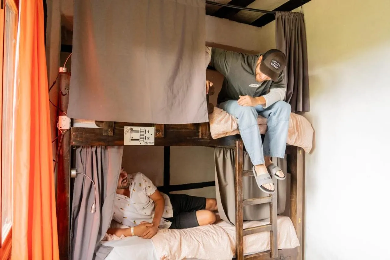 bunk bed, Bed in Coffee Tree Boutique Hostel