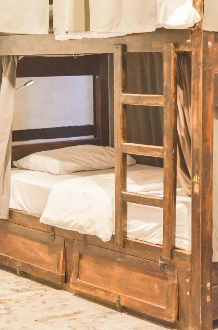bunk bed, Bed in Coffee Tree Boutique Hostel