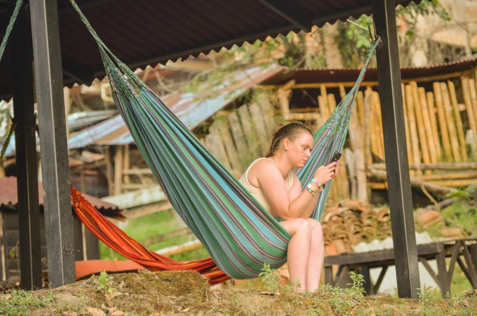 Natural landscape in Coffee Tree Boutique Hostel