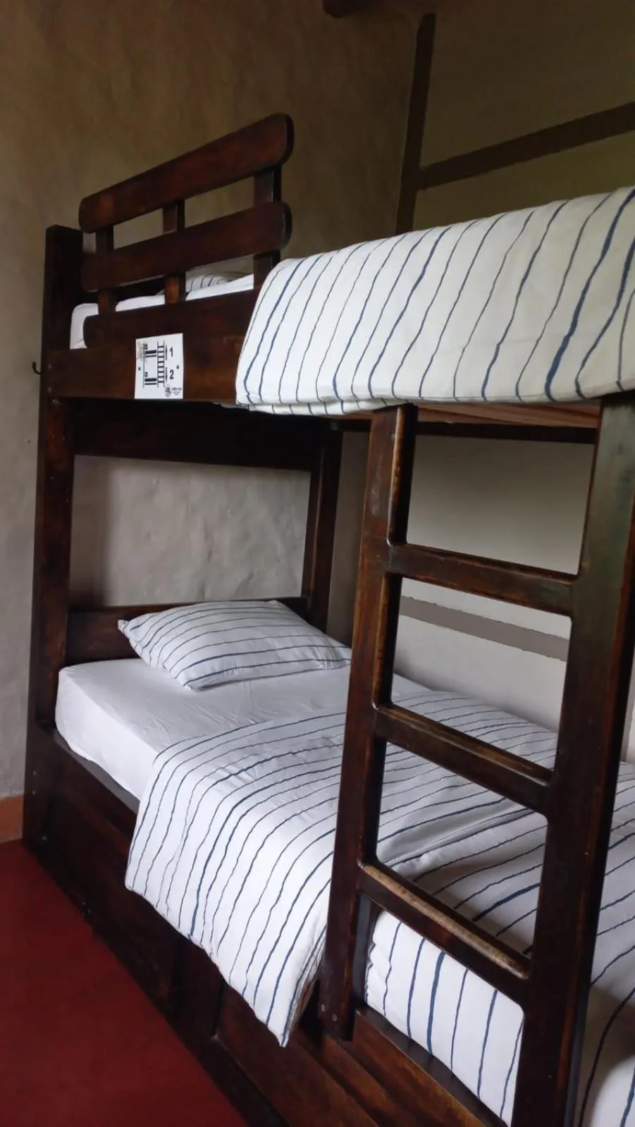 bunk bed, Bed in Coffee Tree Boutique Hostel