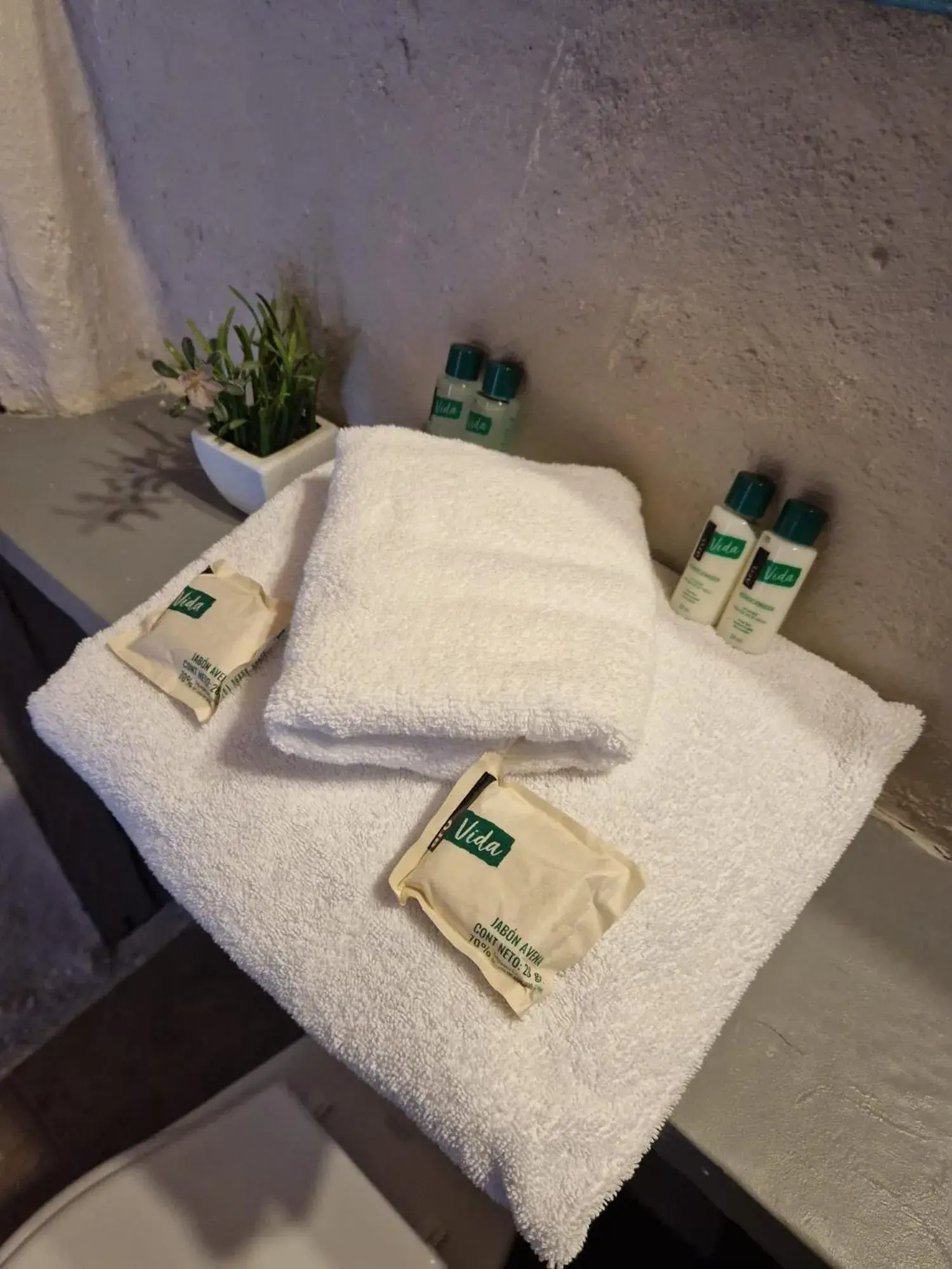 Double Room with Mountain View in Coffee Tree Boutique Hostel Double Room with Mountain View in Coffee Tree Boutique Hostel