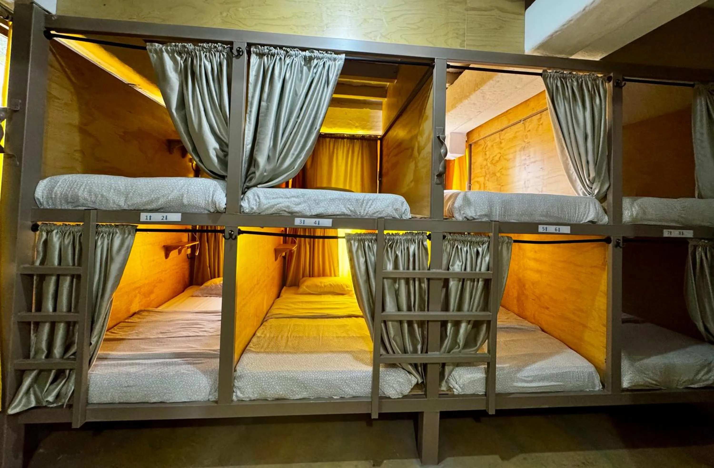 Bed in Coffee Tree Boutique Hostel