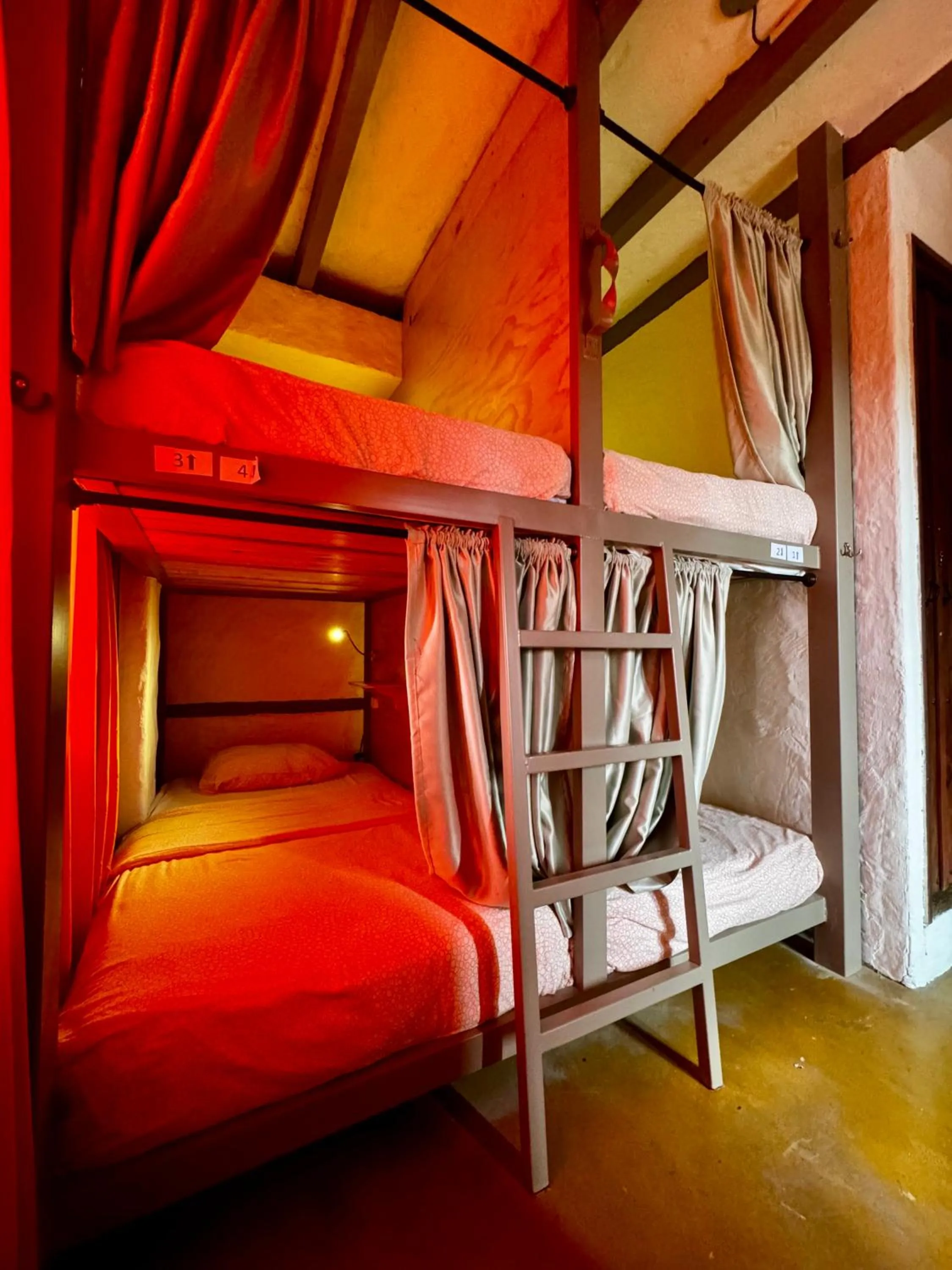 Bed in Coffee Tree Boutique Hostel