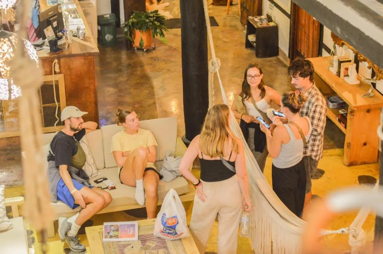 Living room in Coffee Tree Boutique Hostel