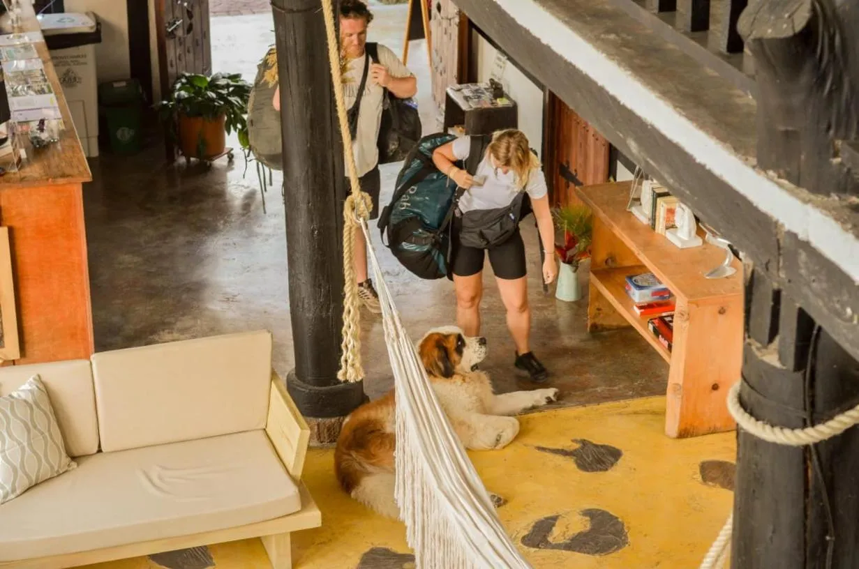 Lobby or reception in Coffee Tree Boutique Hostel