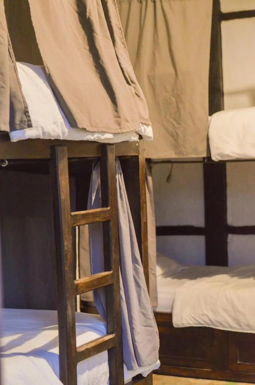 bunk bed, Bed in Coffee Tree Boutique Hostel