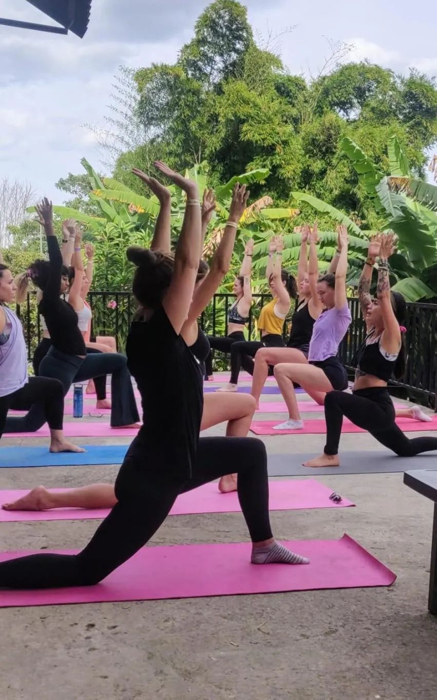 Activities in Coffee Tree Boutique Hostel